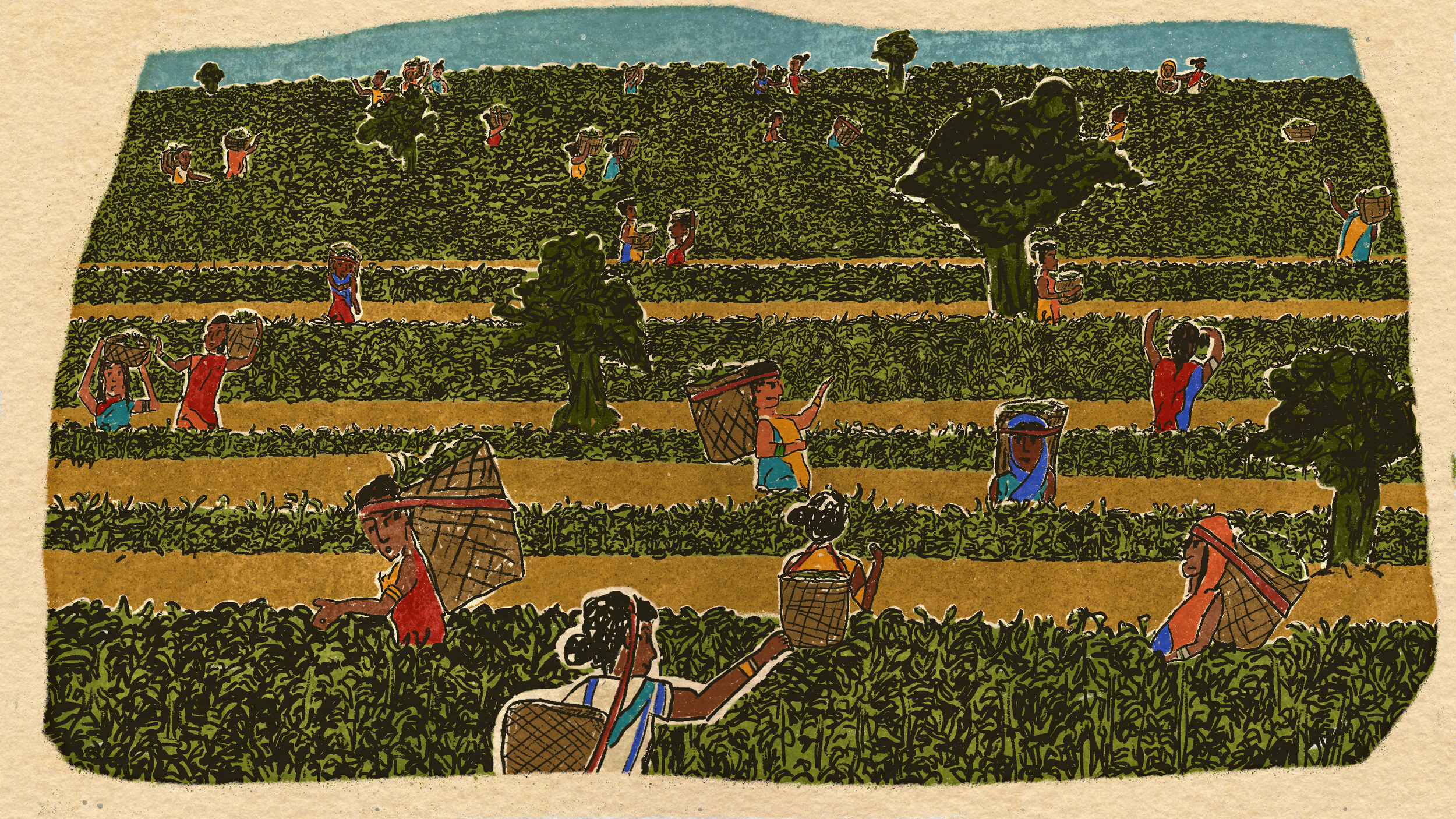 Illustration for Textbook on "A People's History Of....."