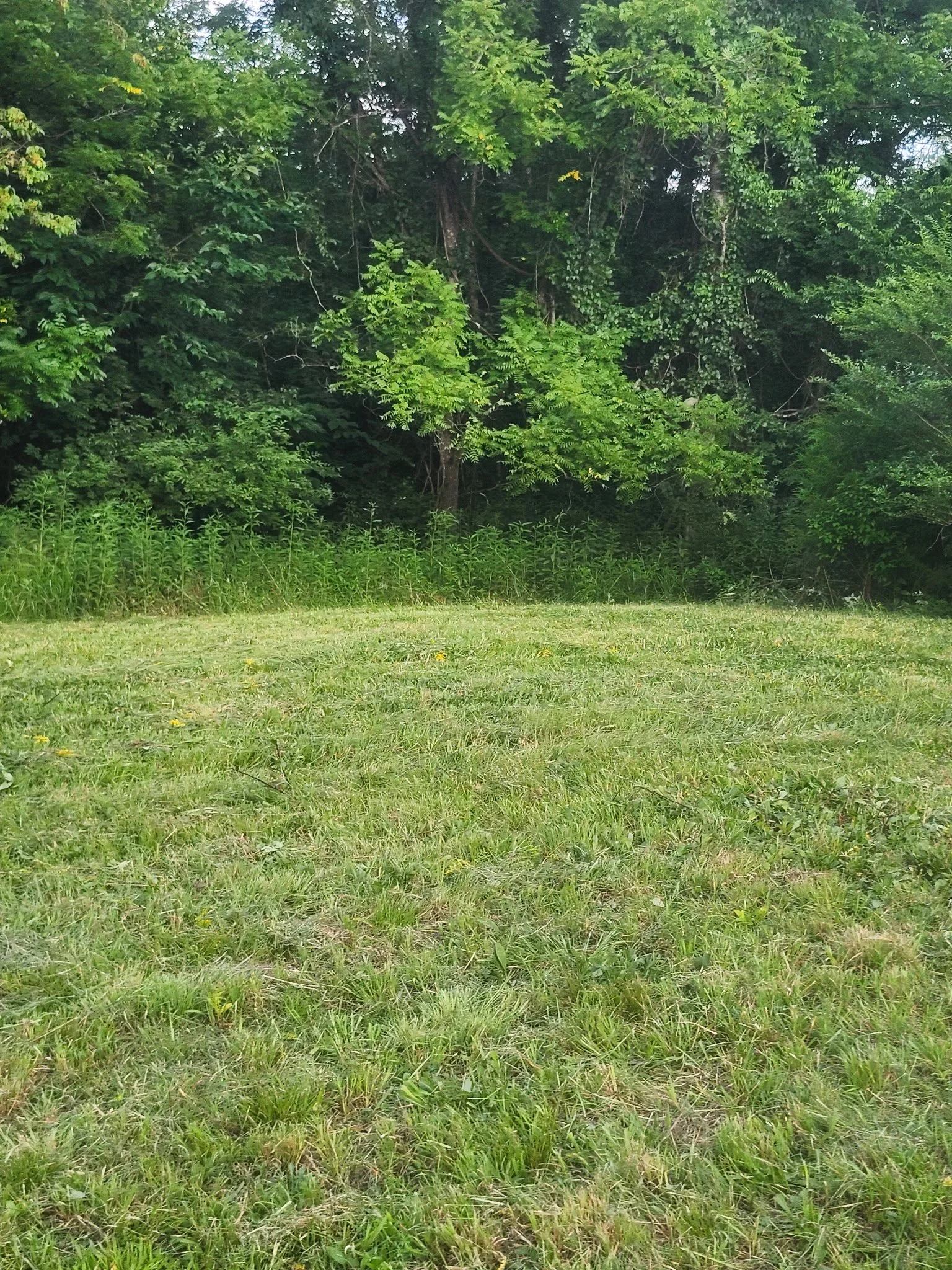 20260729_183558.jpeg