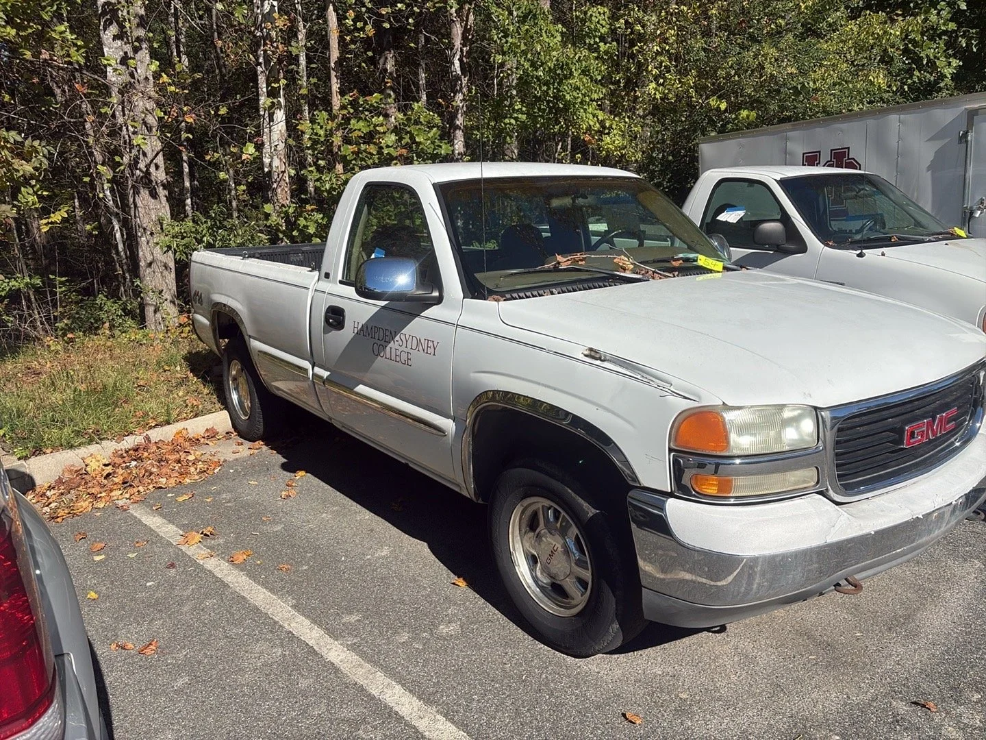 Image 7.jpeg