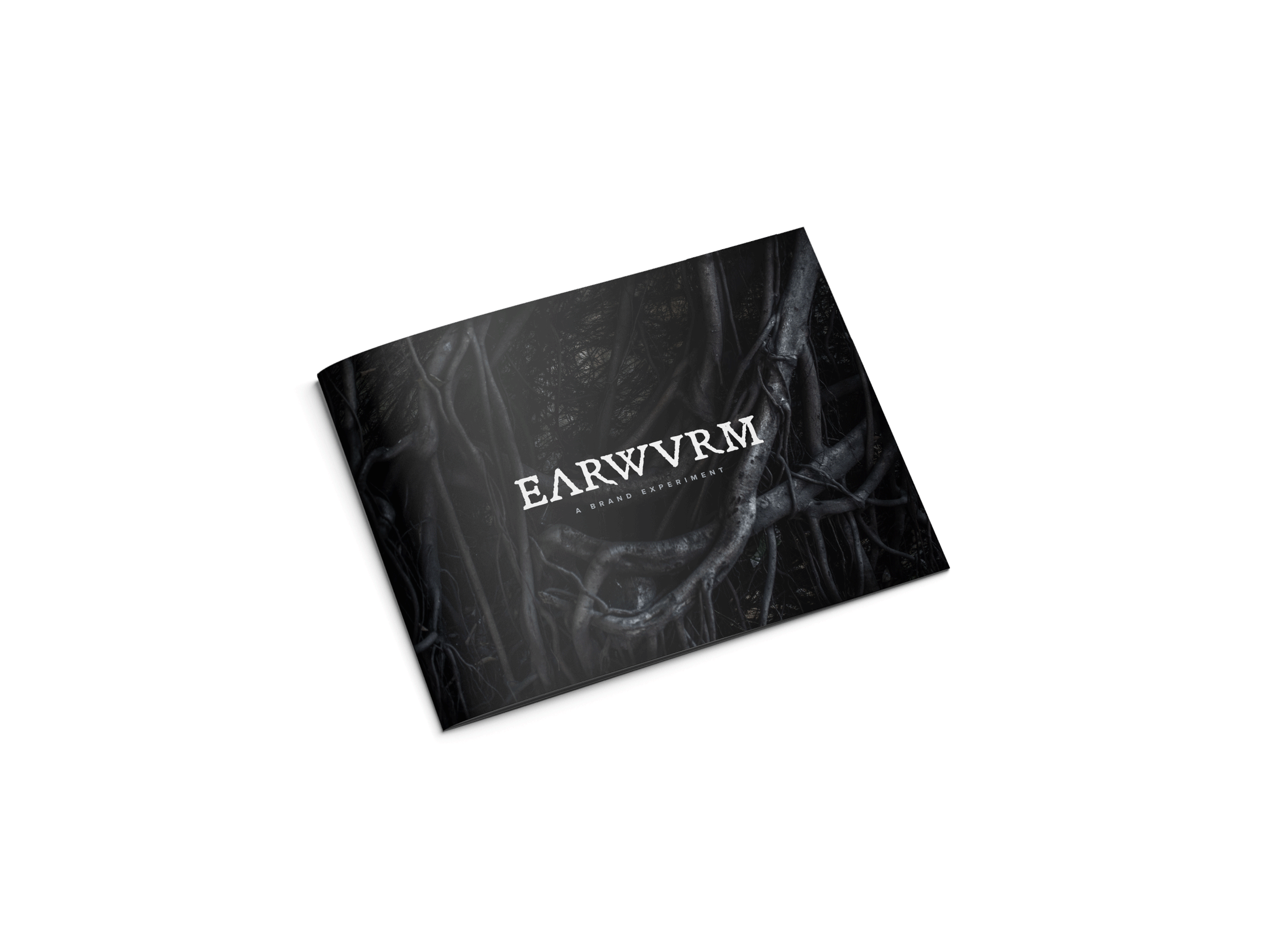 EARWVRM-2-horizontal-brochure-mockup.gif