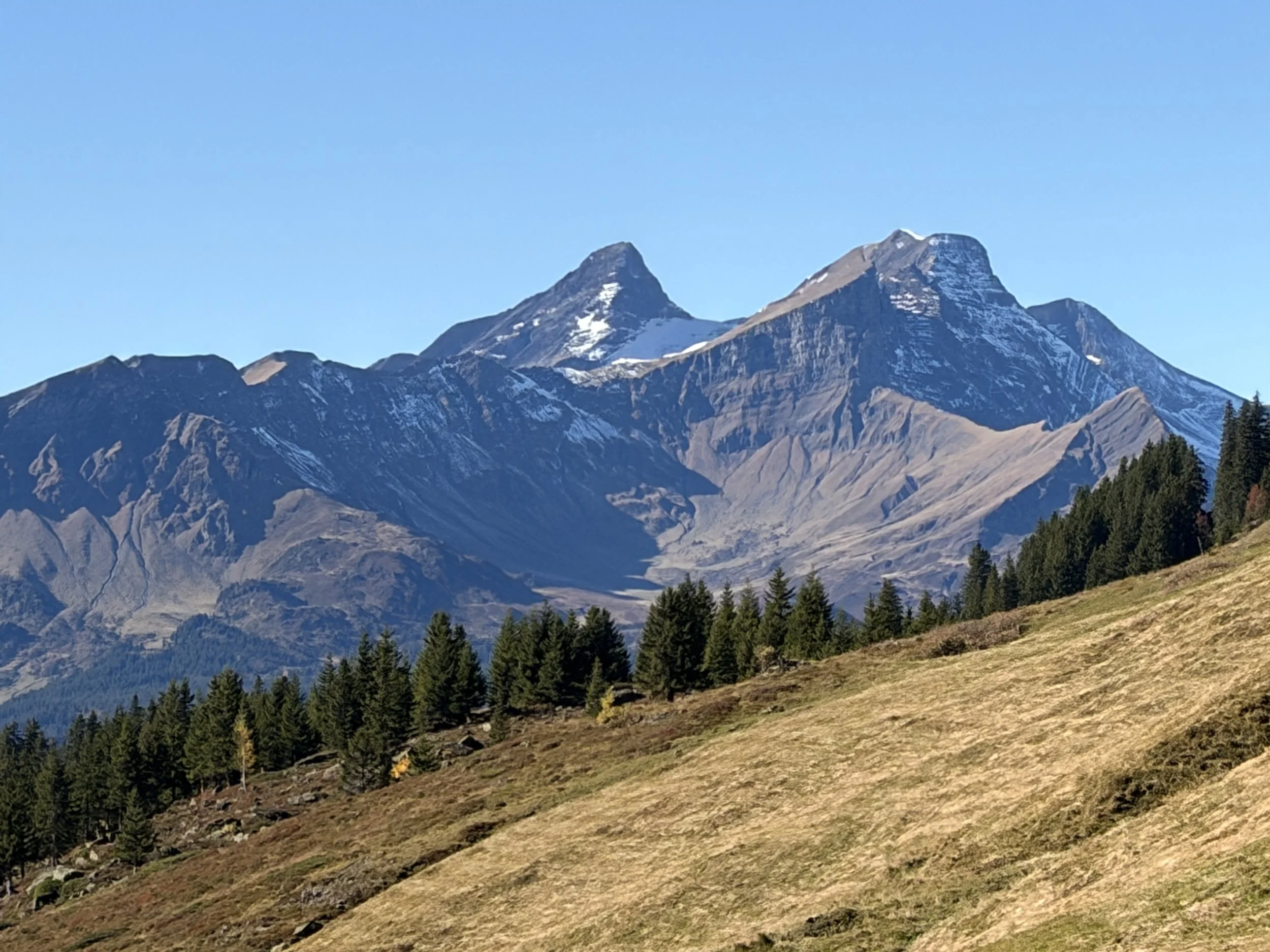 IMG_8006.JPG