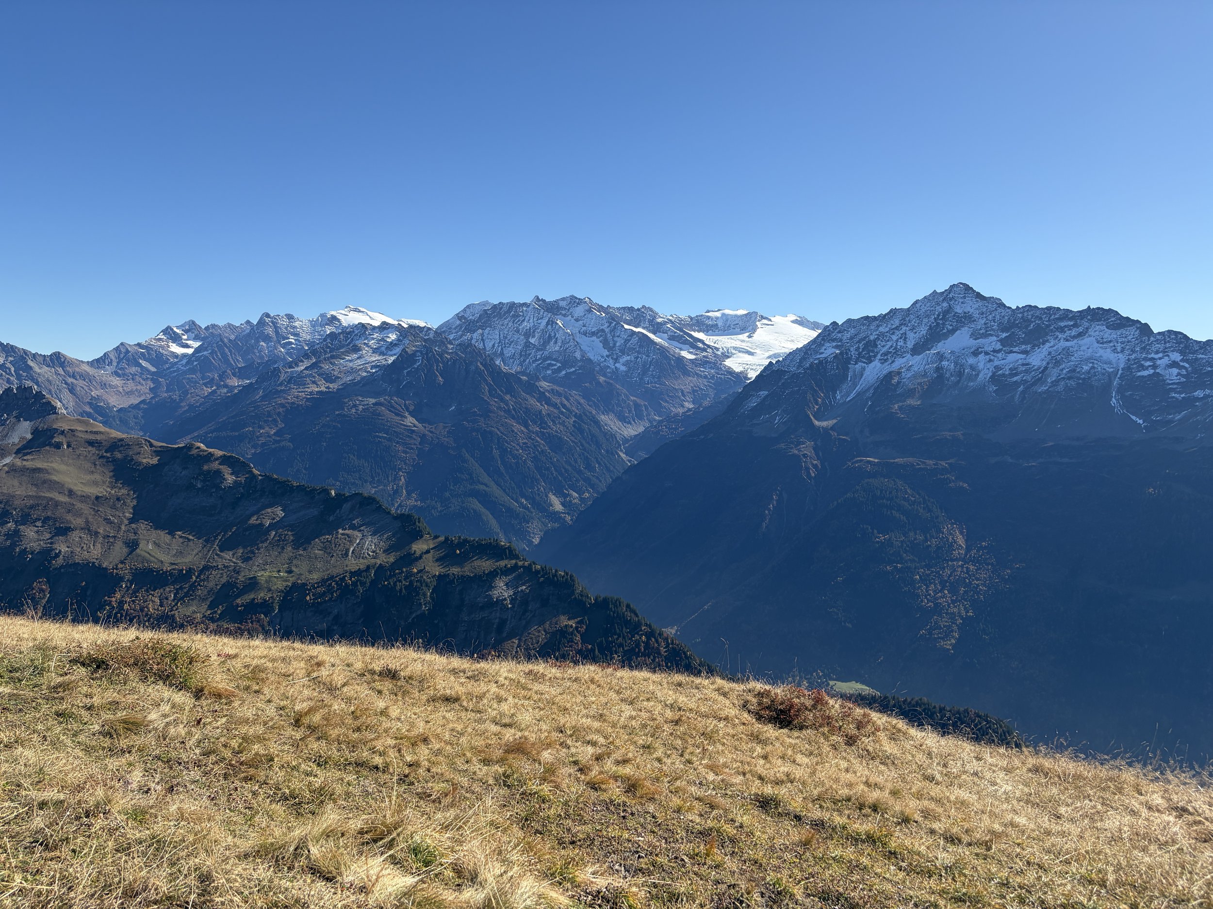 IMG_8011.JPG