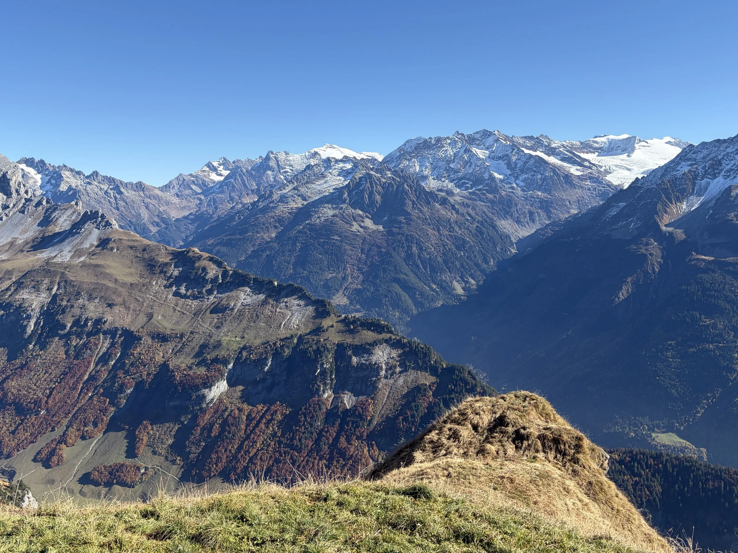 IMG_8012.JPG