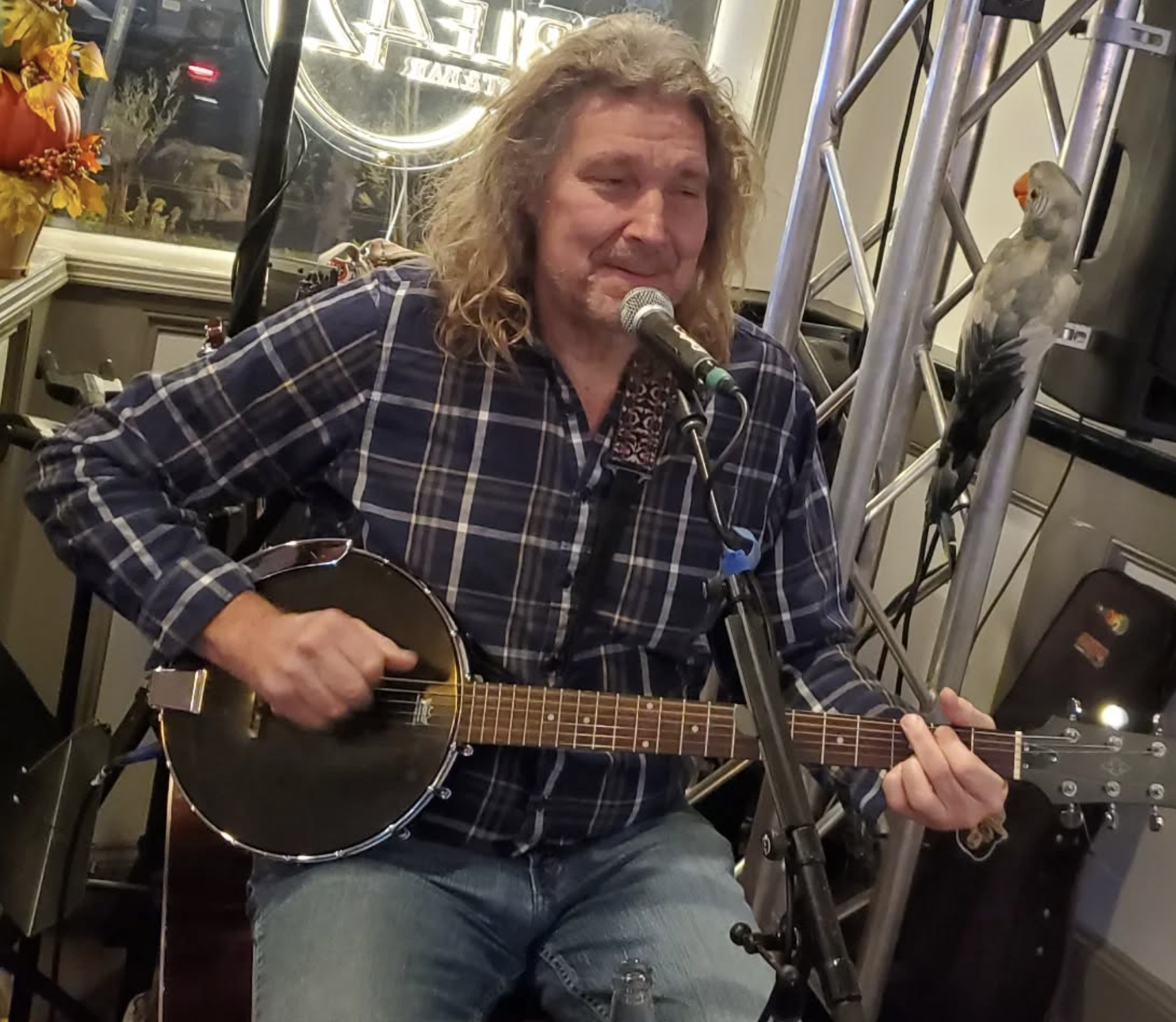 Live Music with Mingo