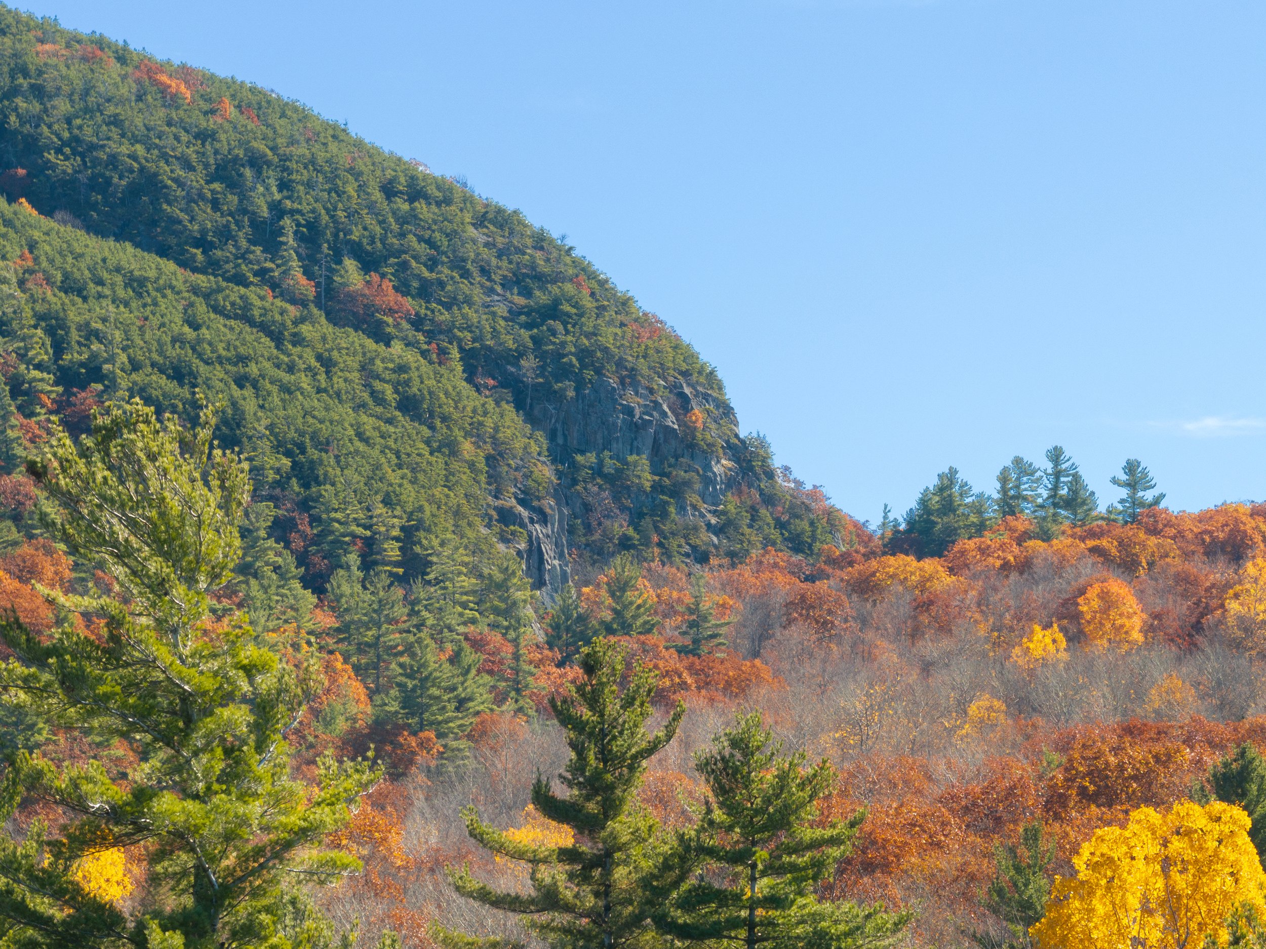 Explore Our Trails