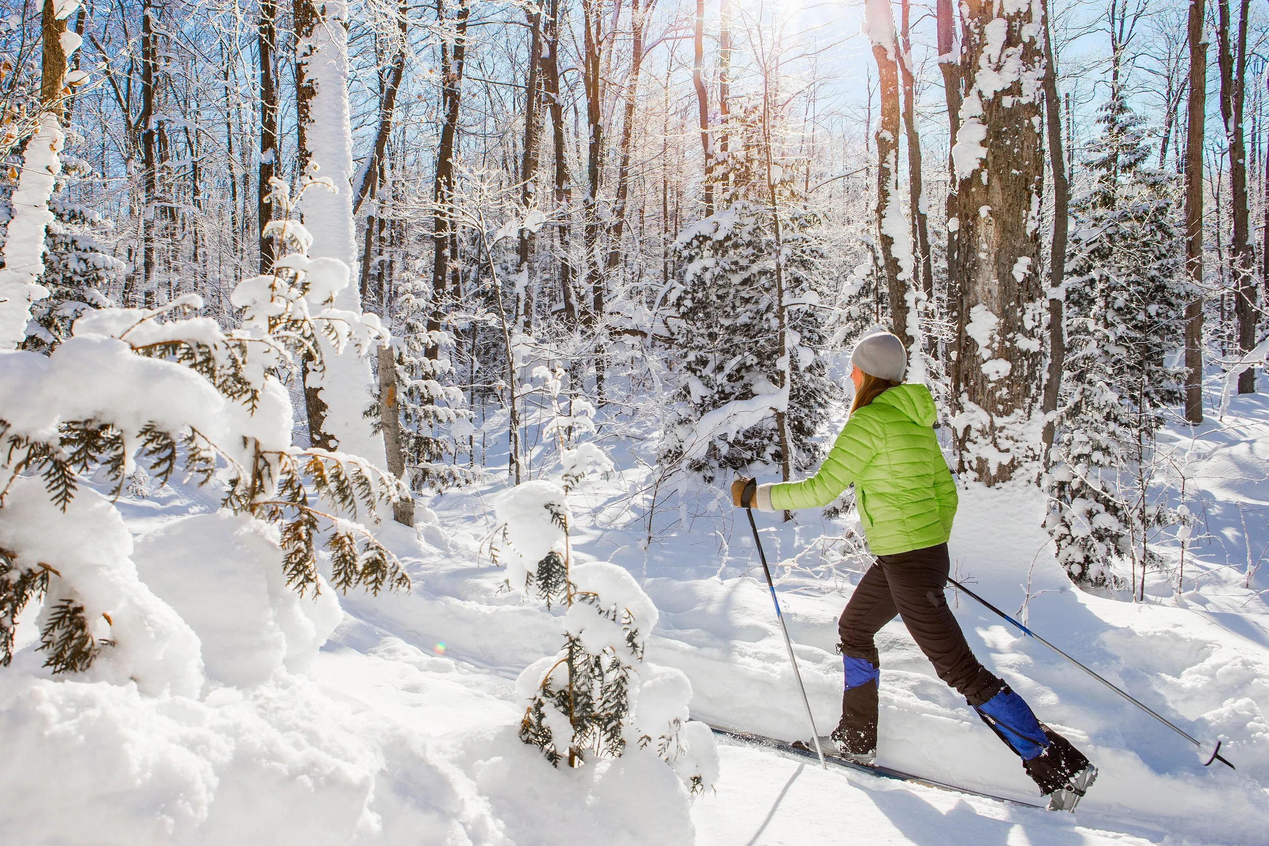 Explore Our Trails