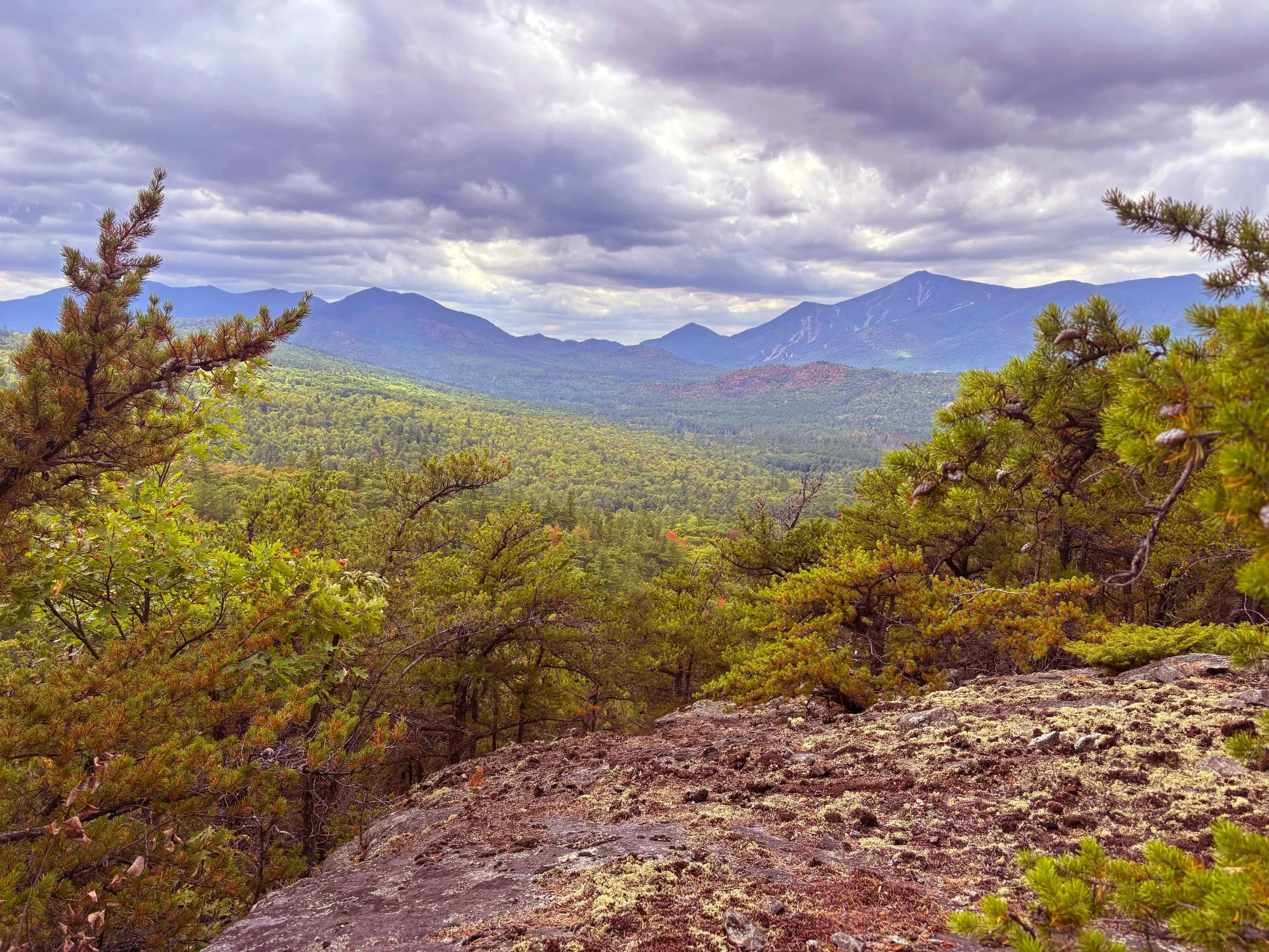 Explore Our Trails