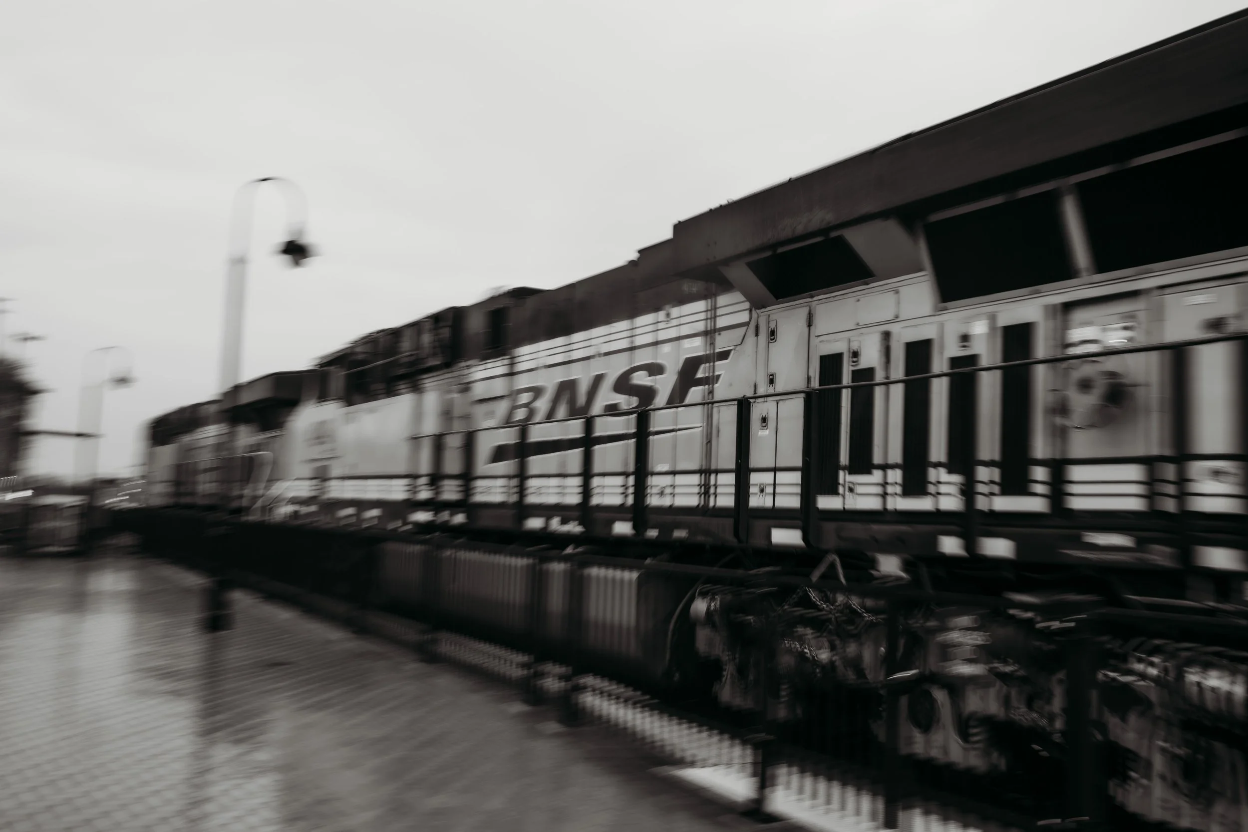1O8A8744.jpg