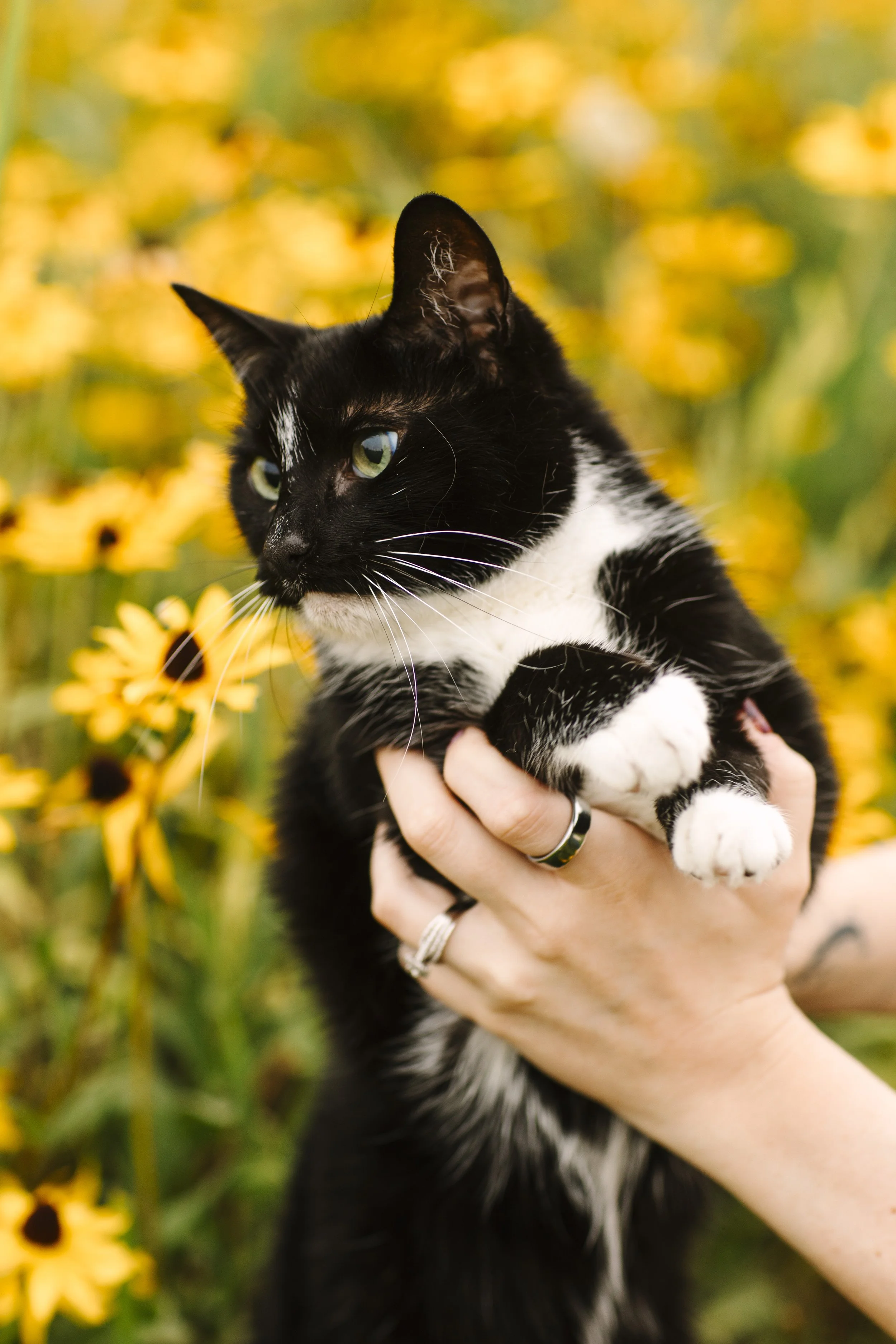 422A0019.jpg