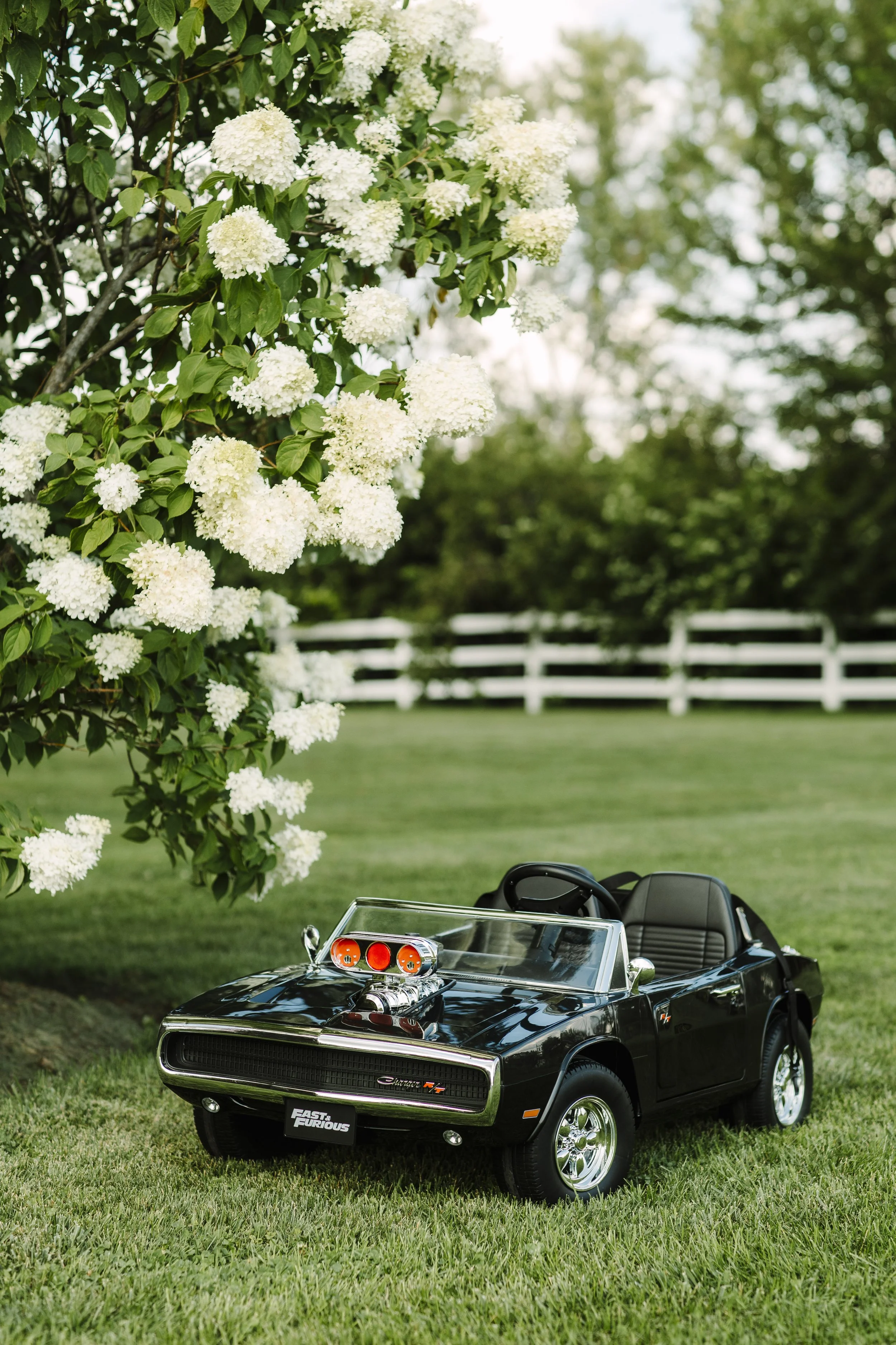 422a5167.jpg
