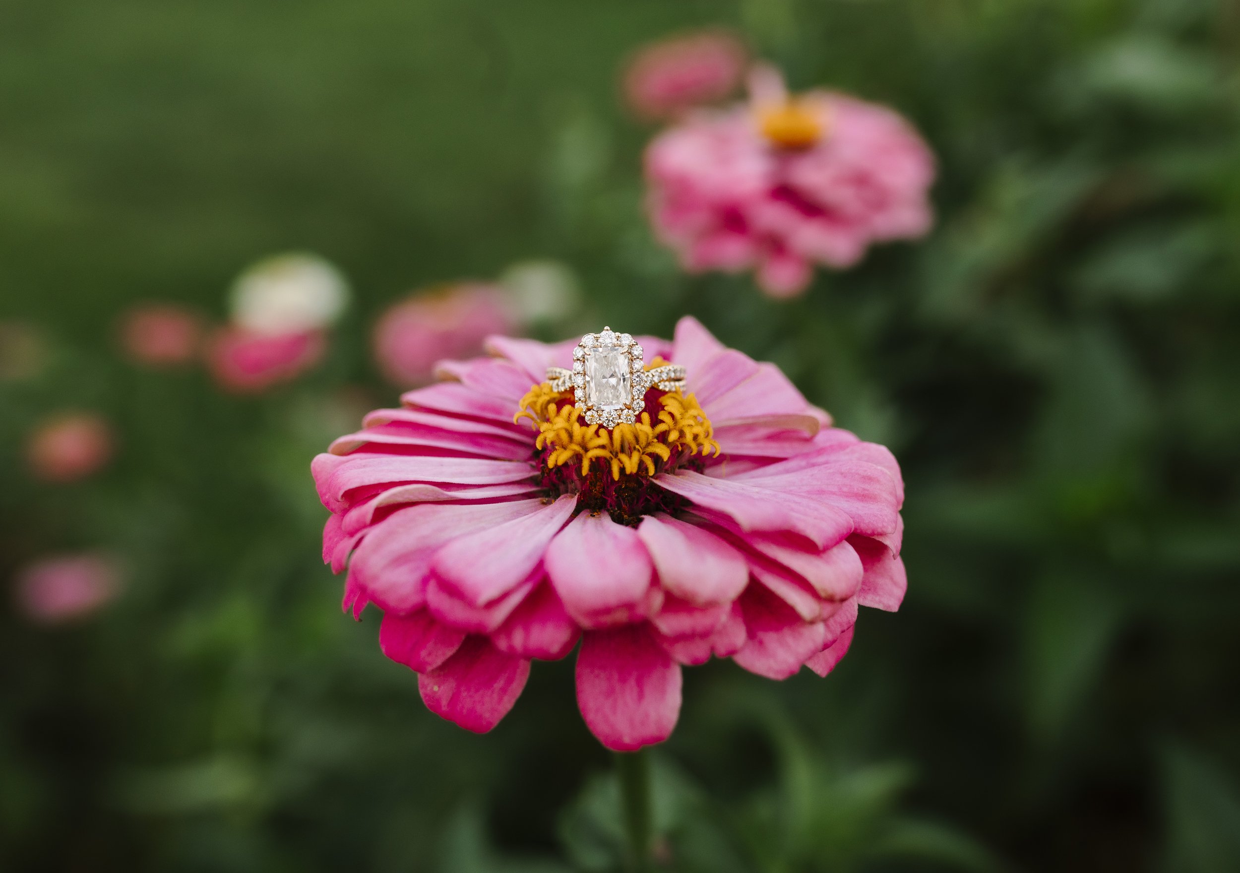 422A4159.jpg