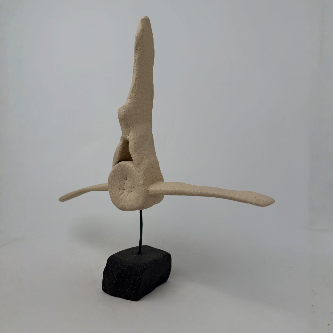 BOTTLENOSE DOLPHIN VERTEBRAE, BY JARED GOLDFISHER