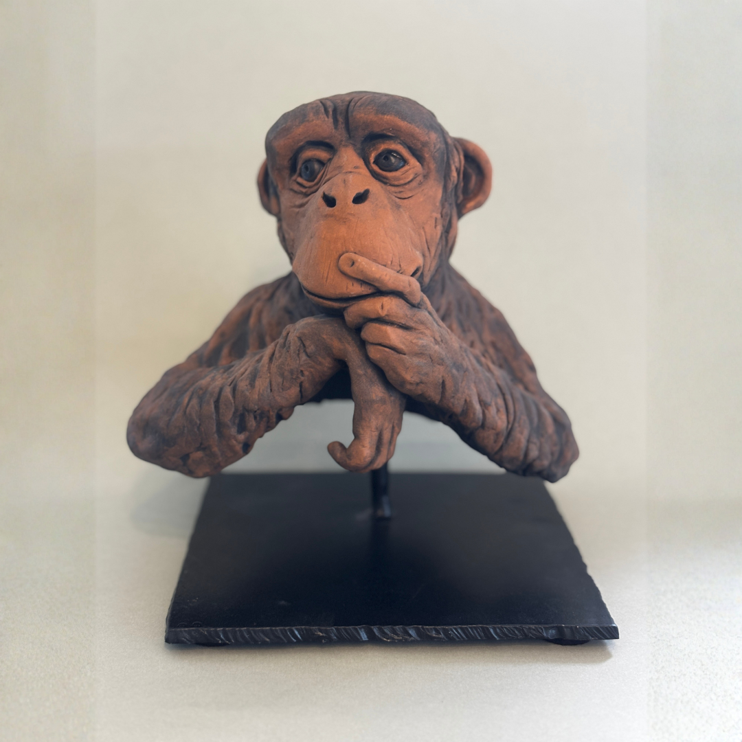 CHIMPANZEE, BY JULIA HETHERINGTON