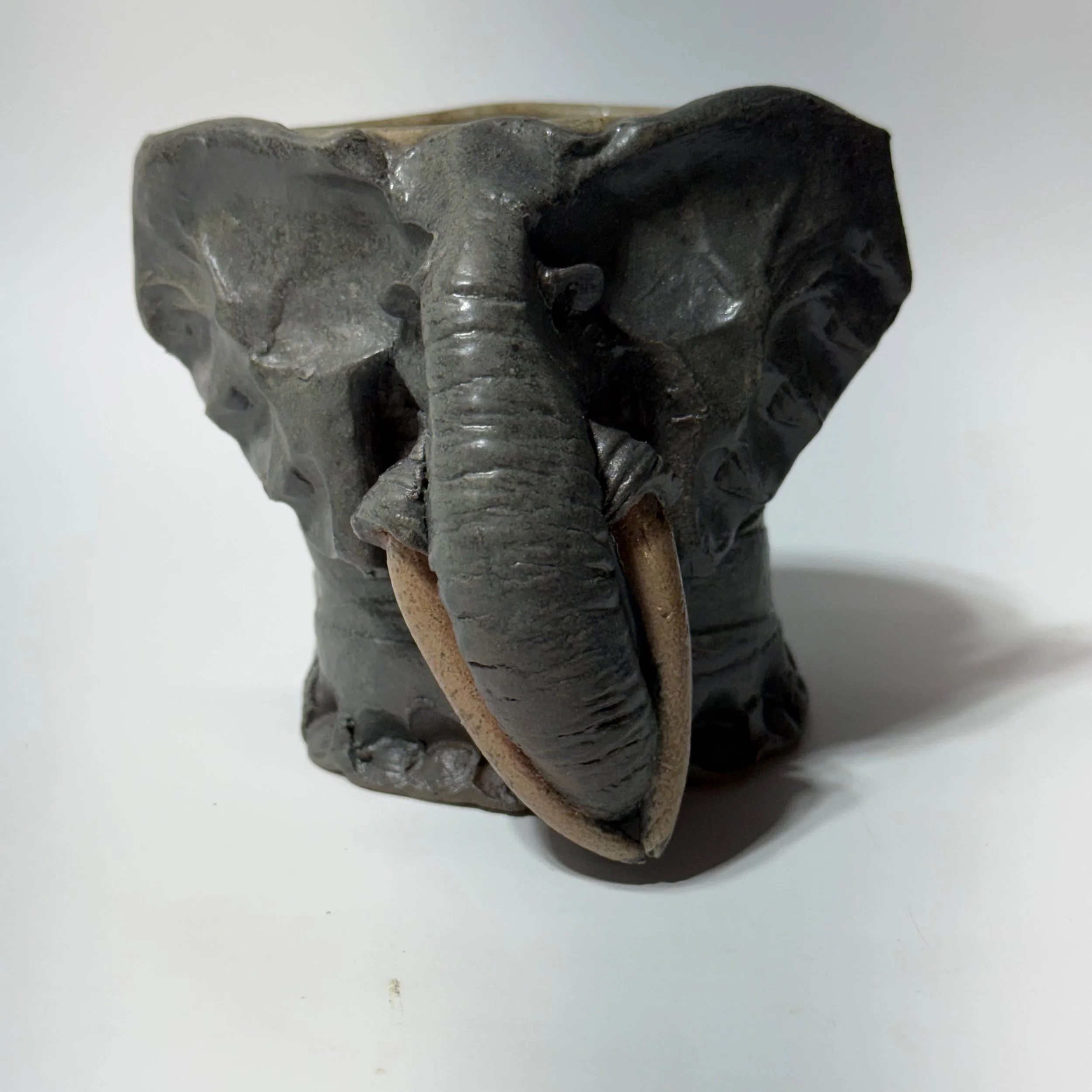 ELEPHANT AT CAMP NAMATONI, BY JOHN HUNTER