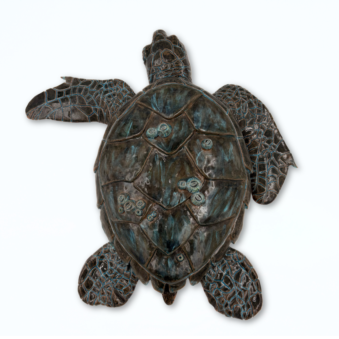 HAWKSBILL SEA TURTLE, BY RENA COLLETTI