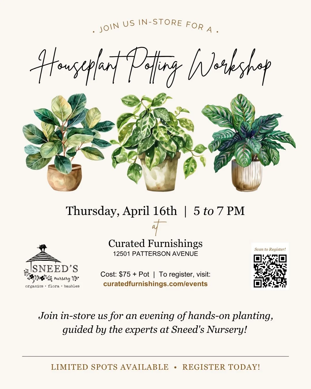 Join us in-store on Thursday, April 16th for an evening of hands-on planting, guided by the experts at @sneedsnursery!

Create a potted arrangement using three 4&rdquo; plants, with low &amp; bright light varieties available to suit any space. All po