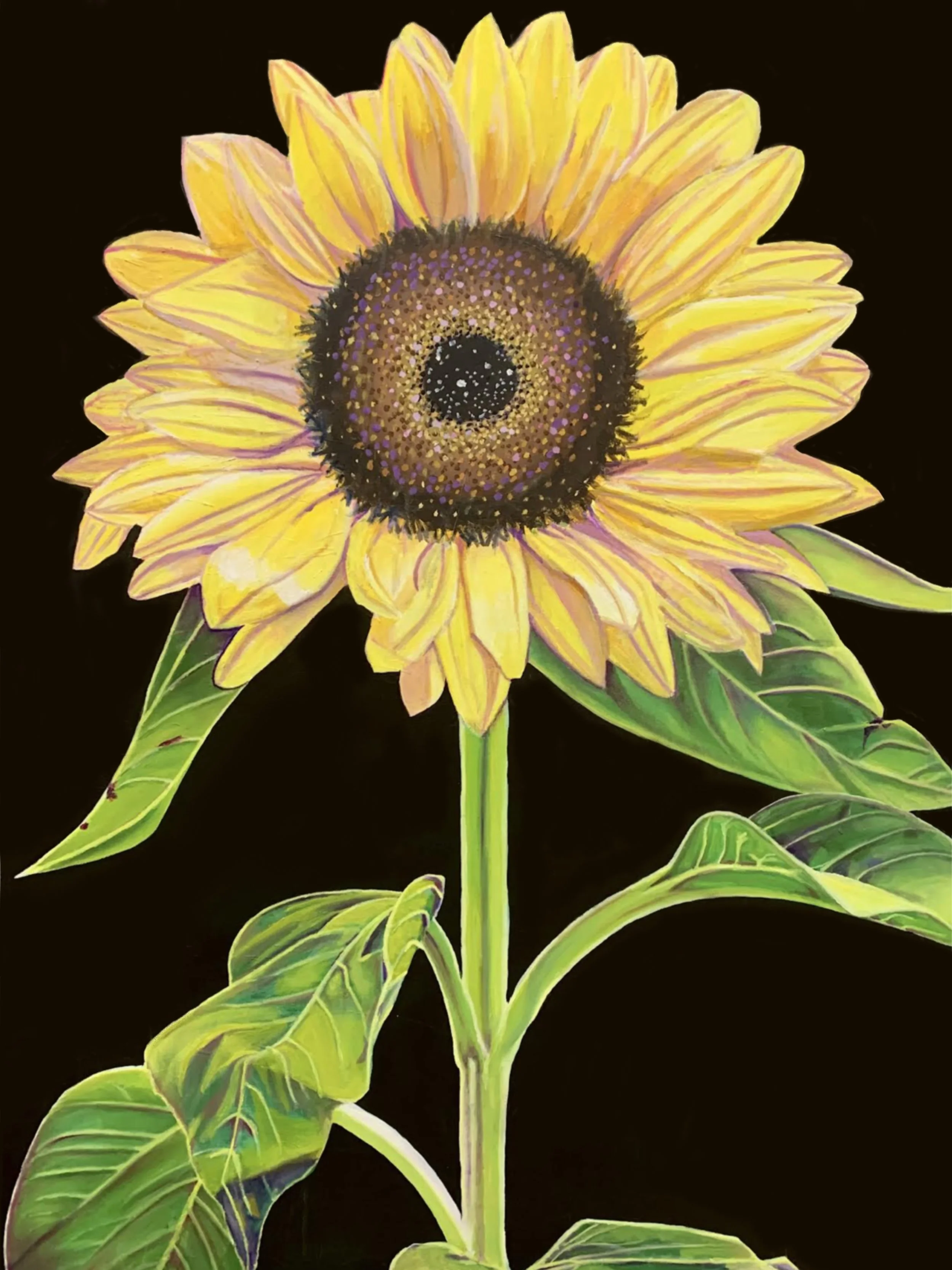 When the Sun Blooms. 36in x 48in. Oil on canvas $800