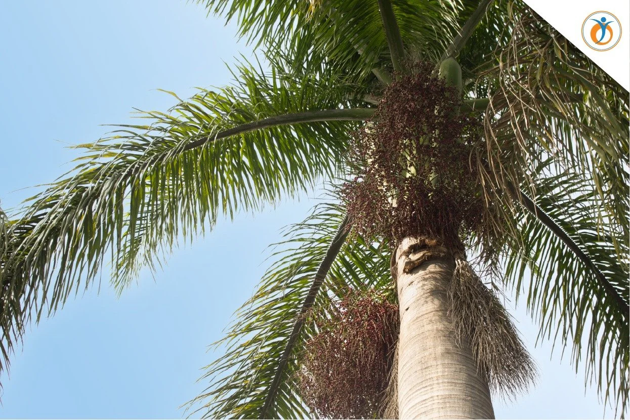 5a11e916-a5e1-47a3-8a81-d4420b5f46be.jfif