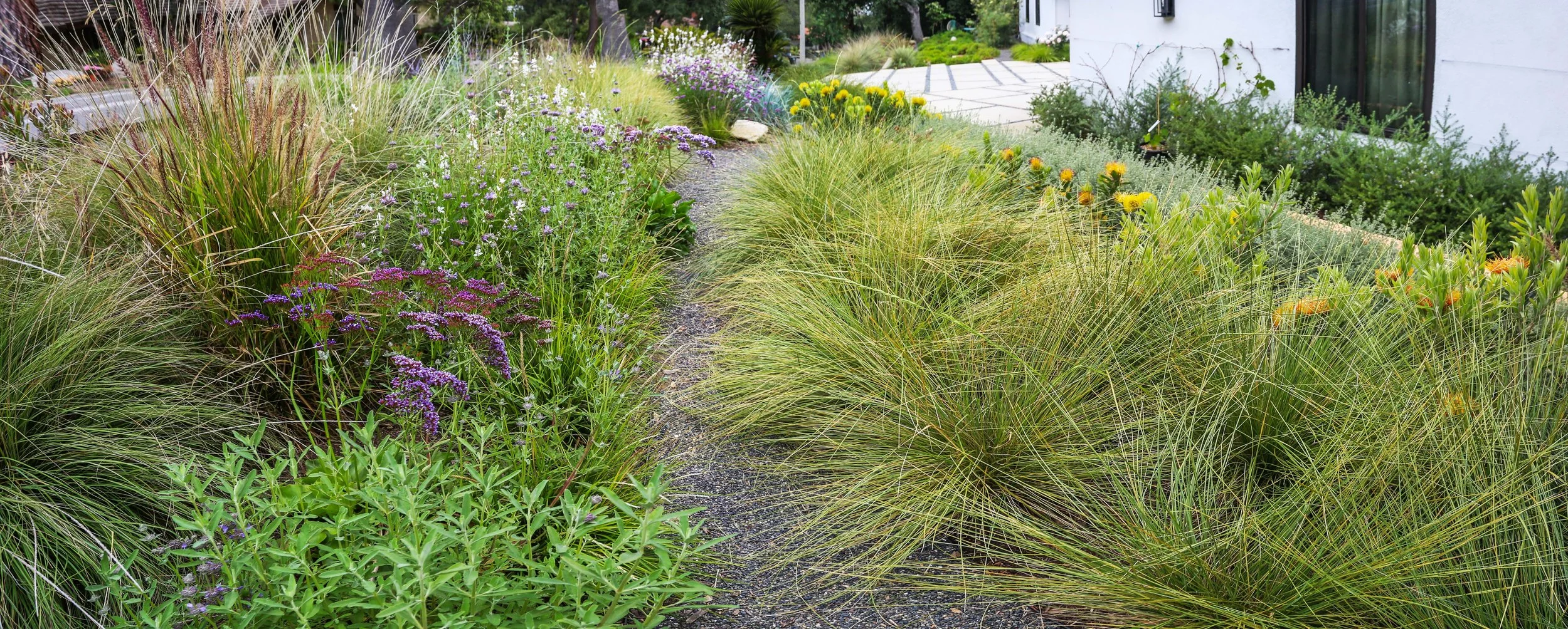 IMG_1946-Pano copy_1.jpg