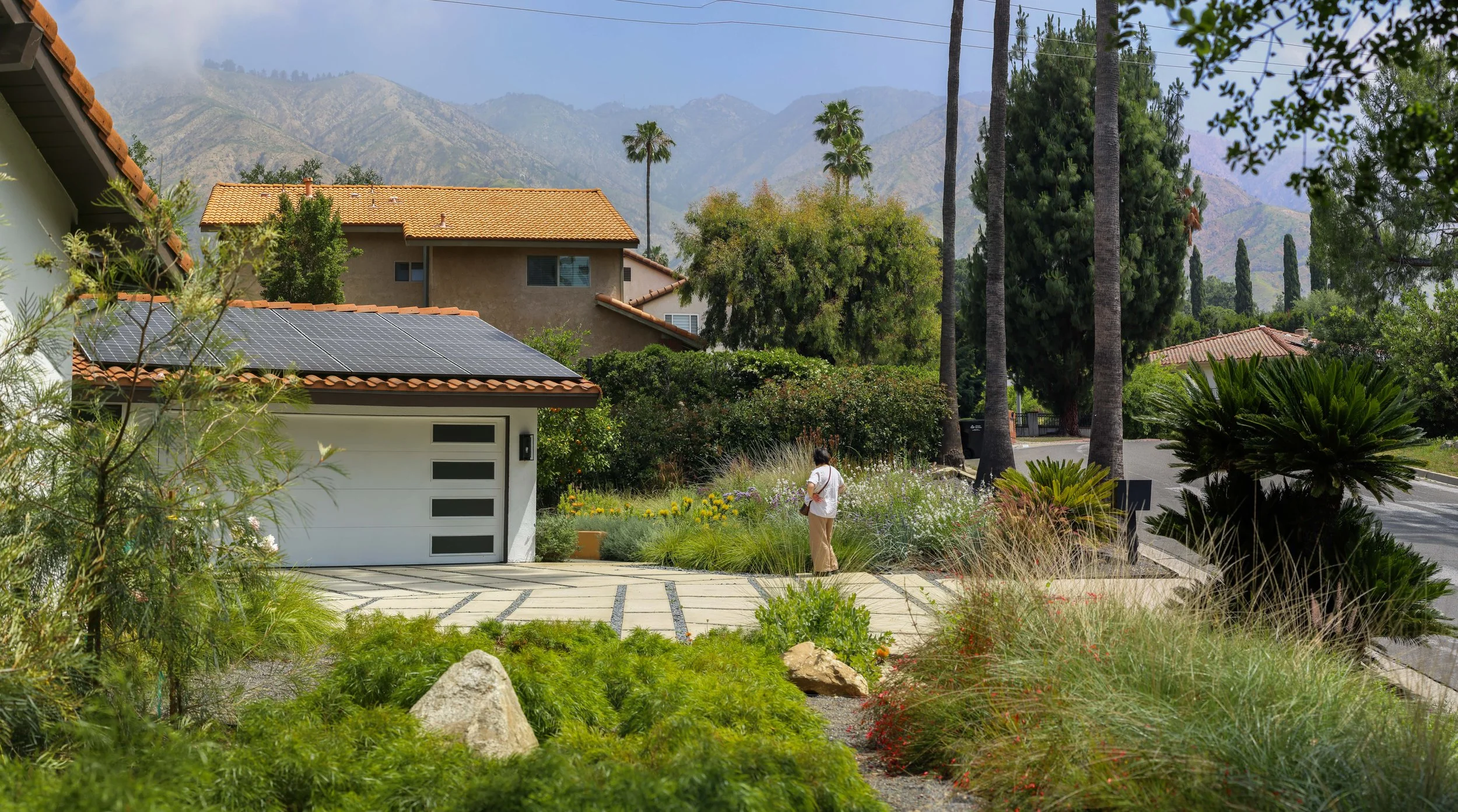 IMG_3038-Pano copy_1.jpg