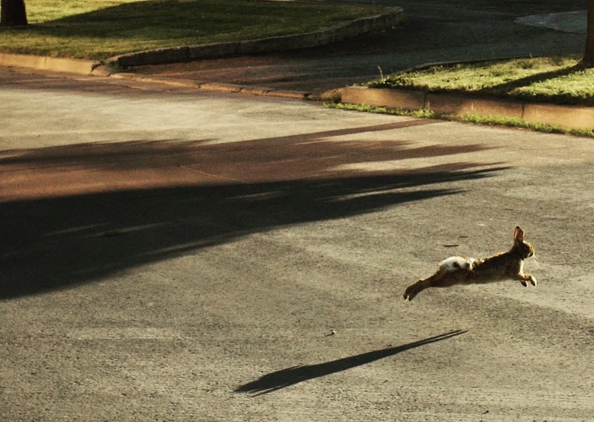 900C66B9-A73A-43C3-86EF-69F5BB3916DA 2.jpg