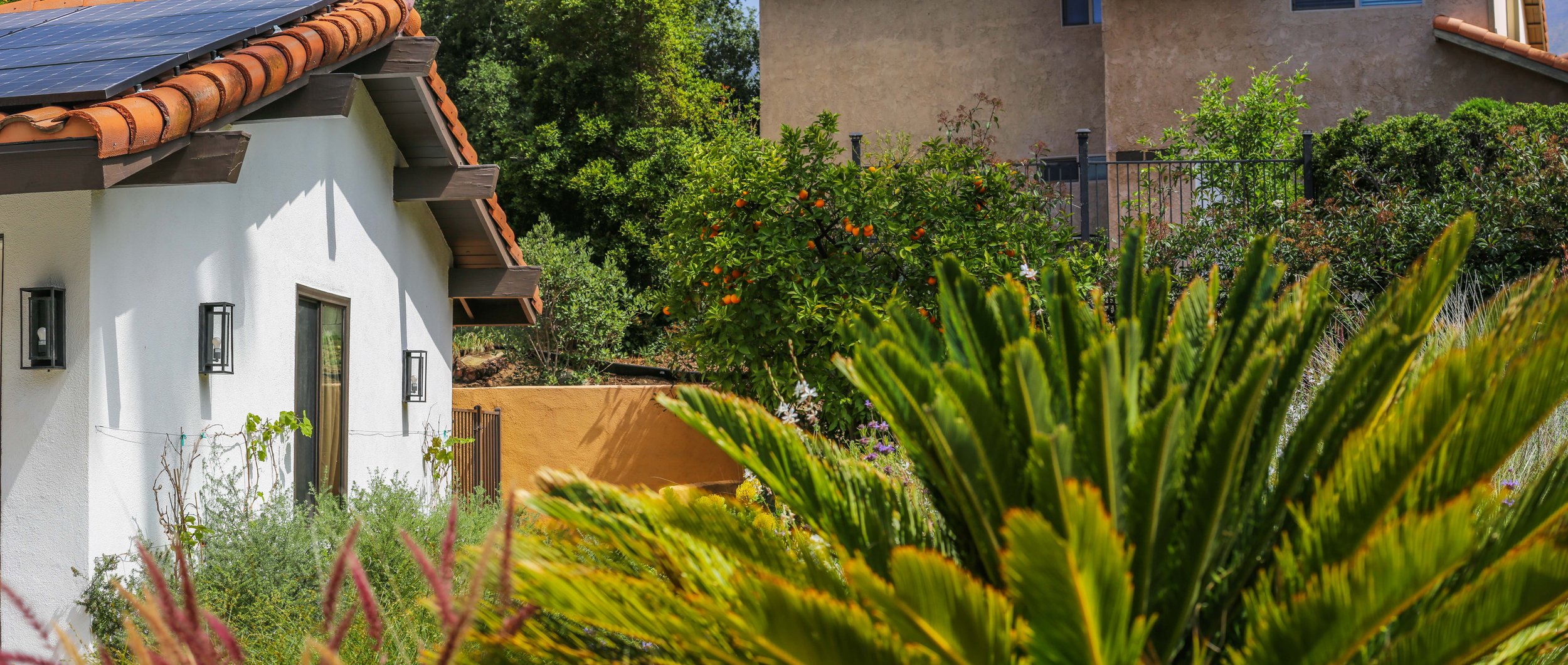 IMG_2443-Pano copy_1.jpg