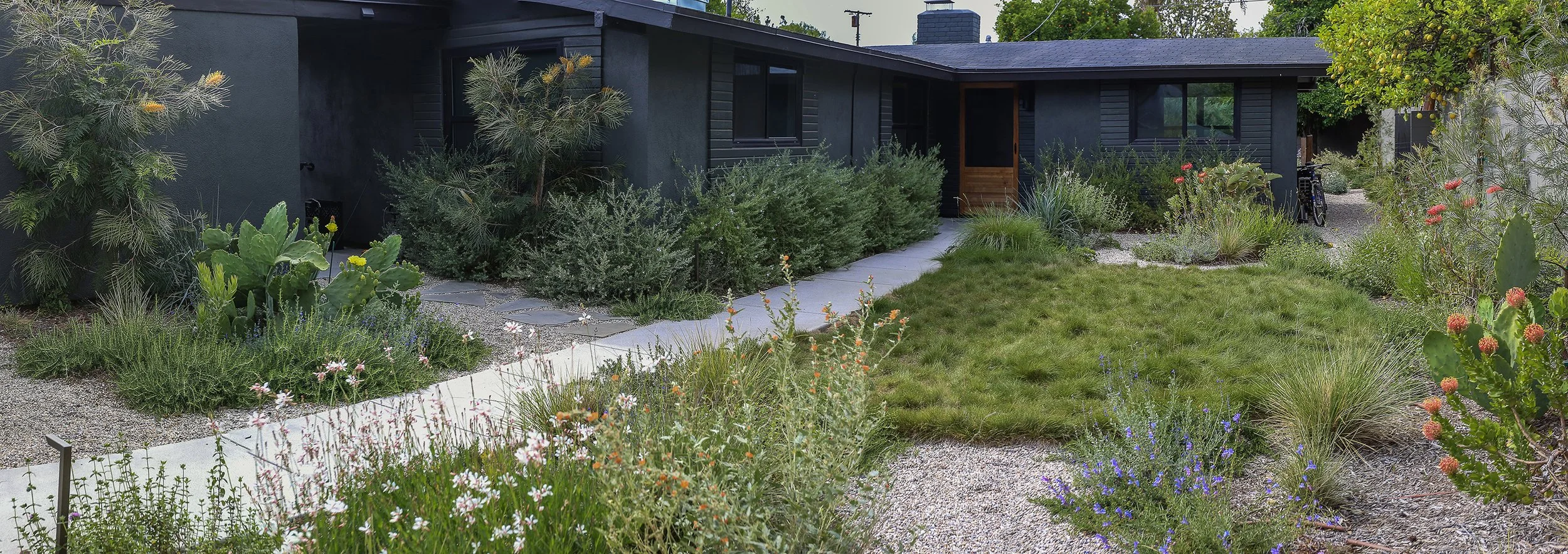 IMG_1000-Pano copy 2.jpg