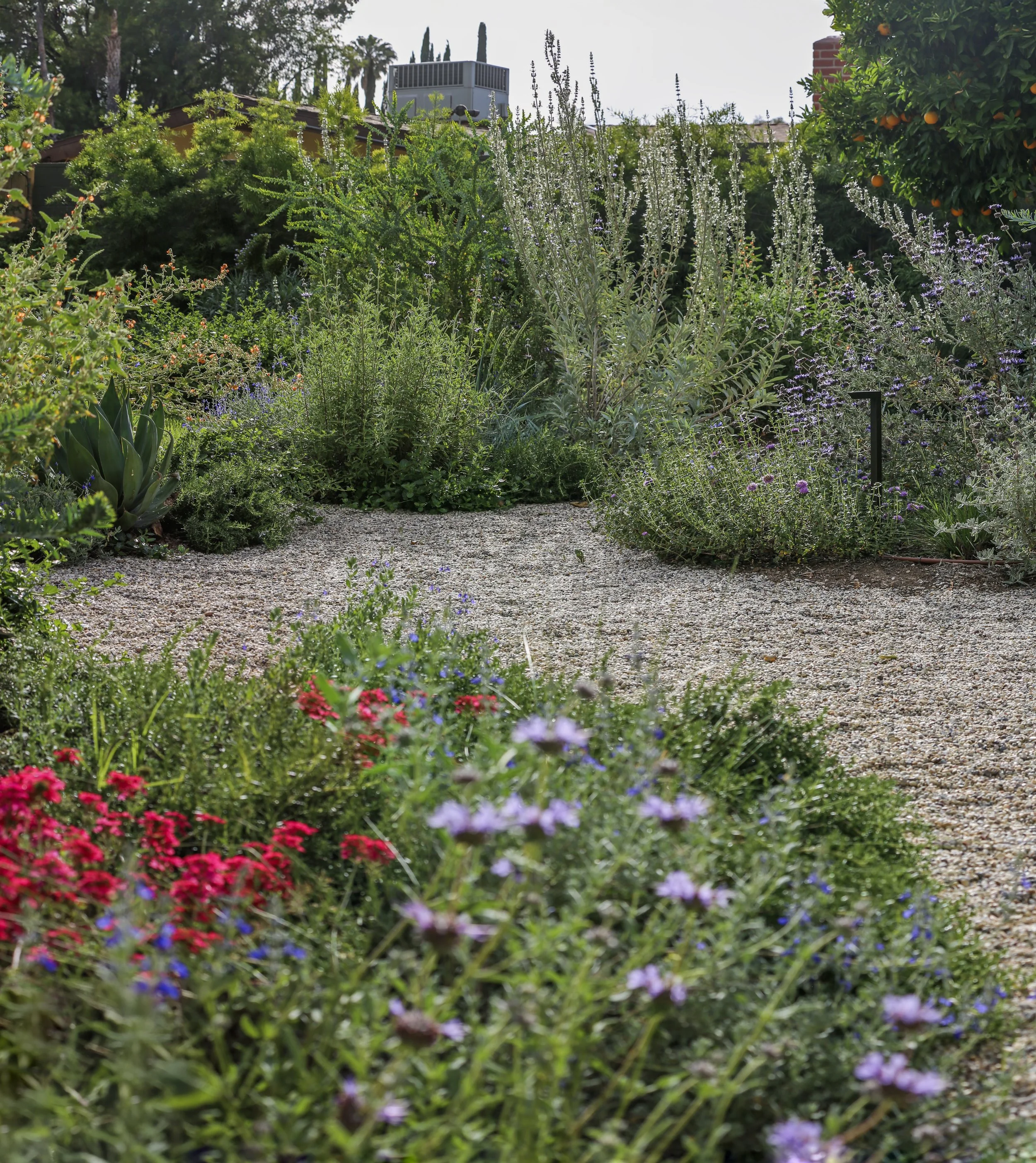 IMG_1703-Pano copy.jpg