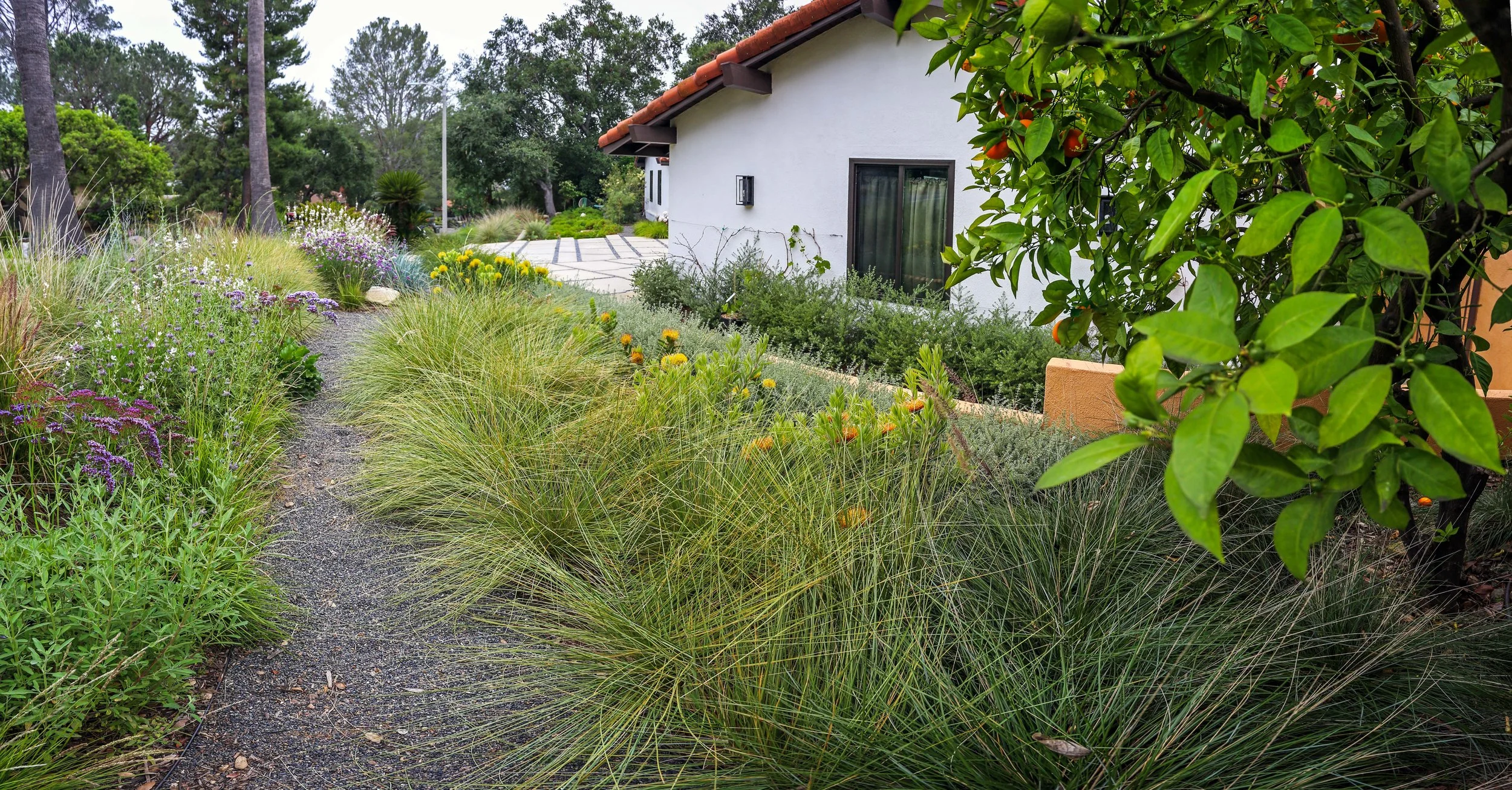 IMG_1917-Pano copy_1.jpg