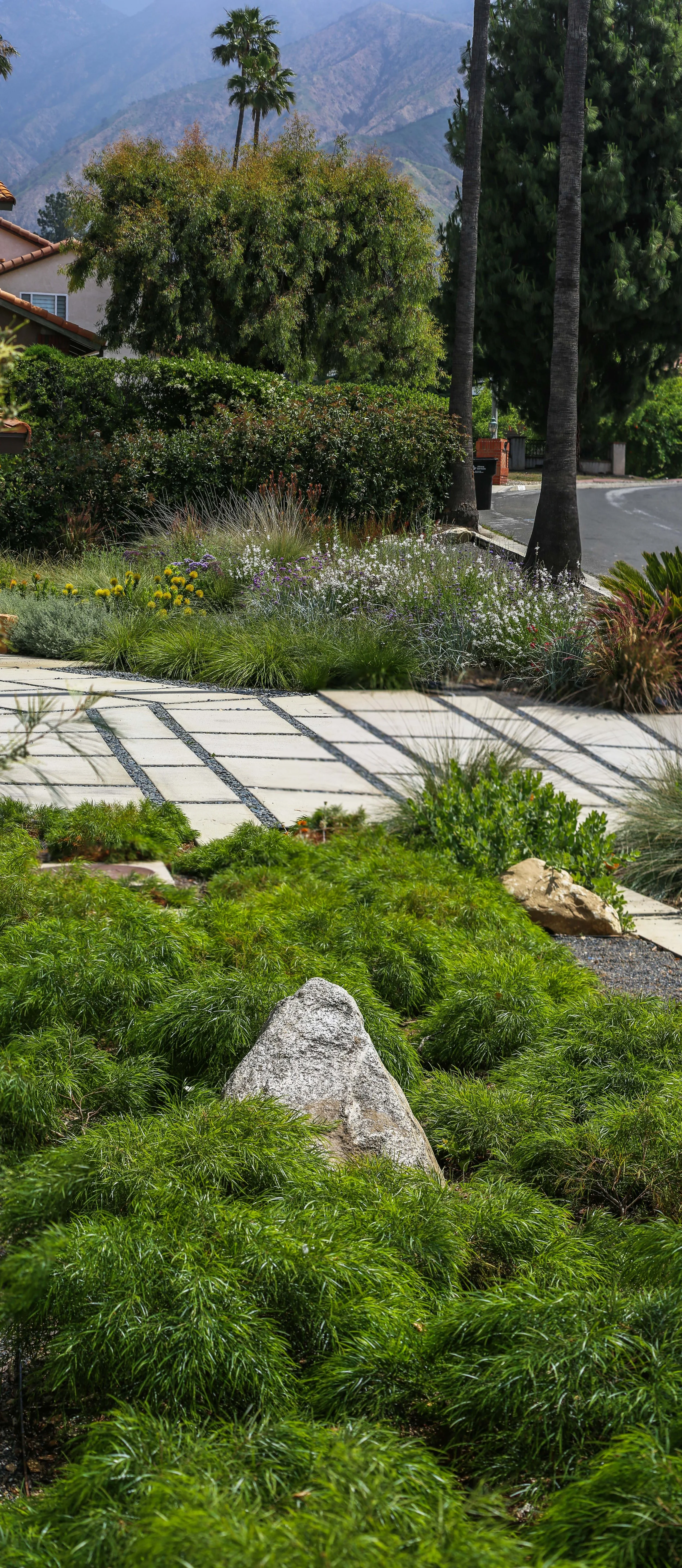 IMG_2804-Pano copy_1.jpg