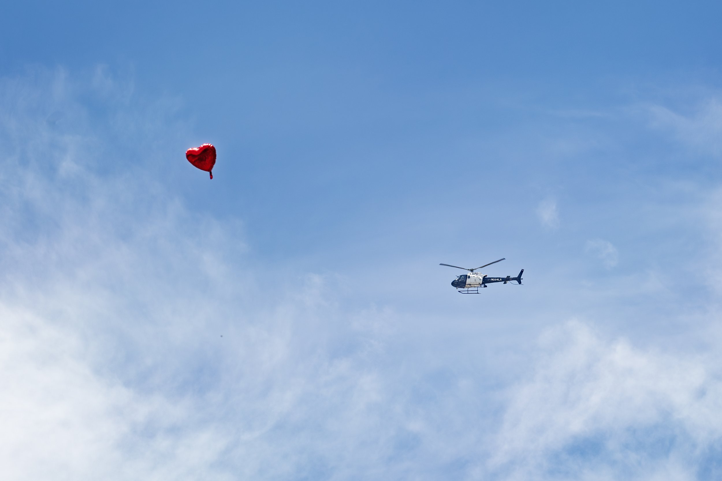 IMG_4648-Enhanced-NR copy.jpg