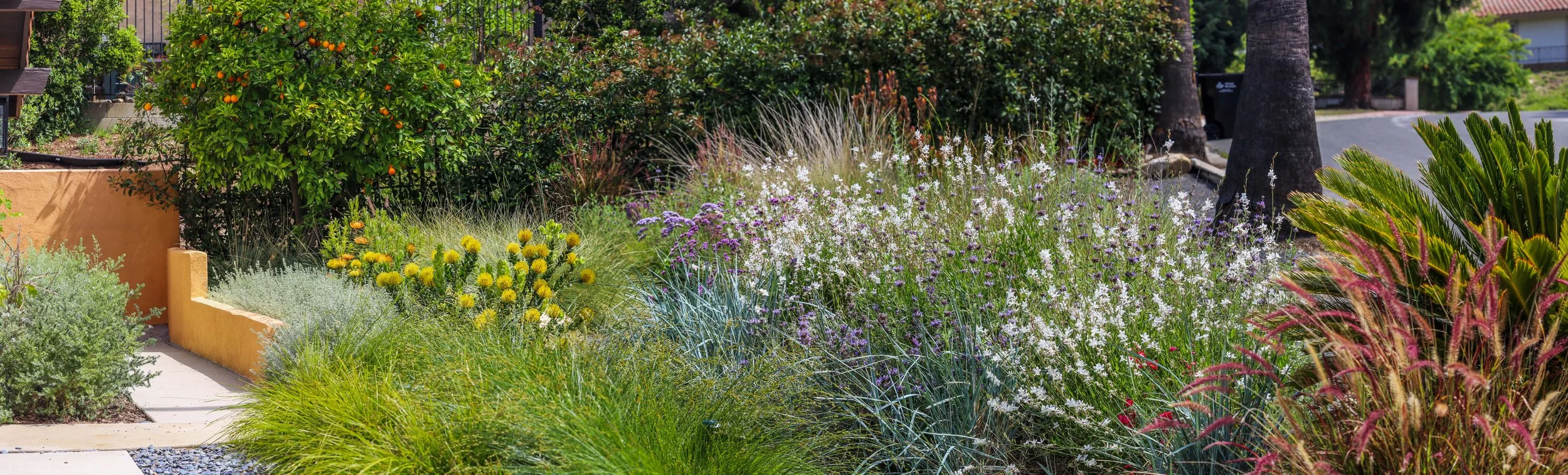 IMG_2429-Pano copy_1.jpg