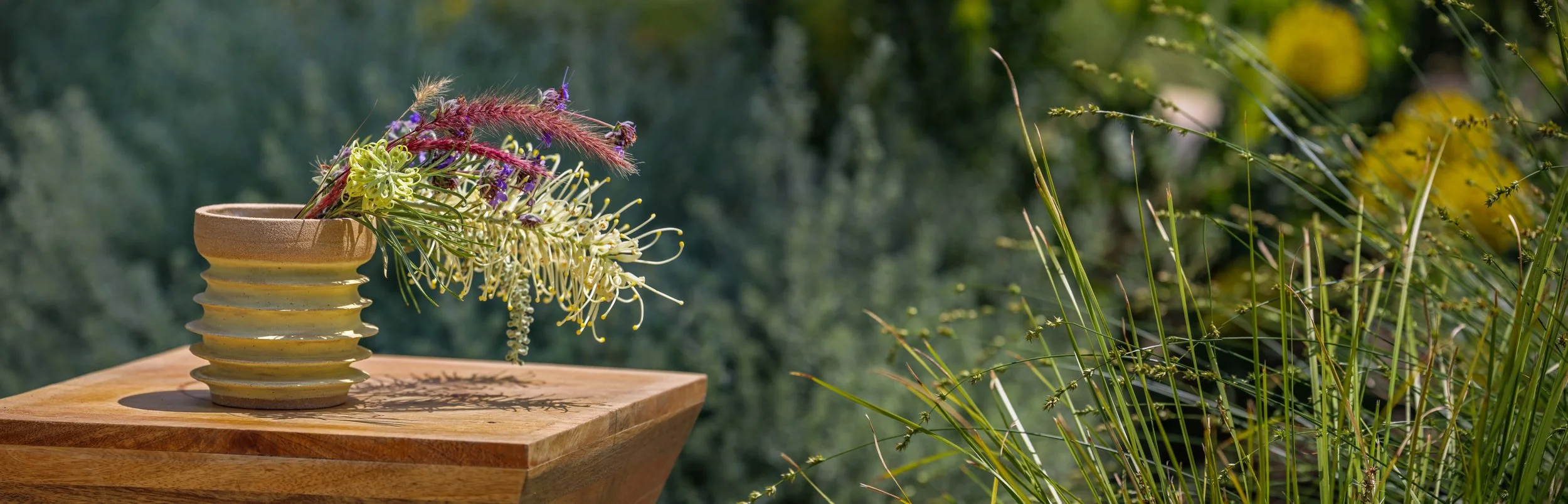 IMG_3157-Pano copy_1.jpg