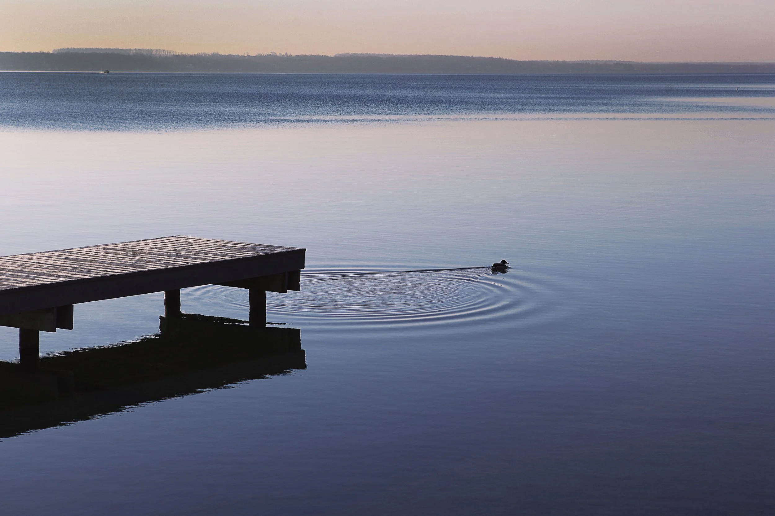 Morning Campus 41416 0101 copy 2.jpg