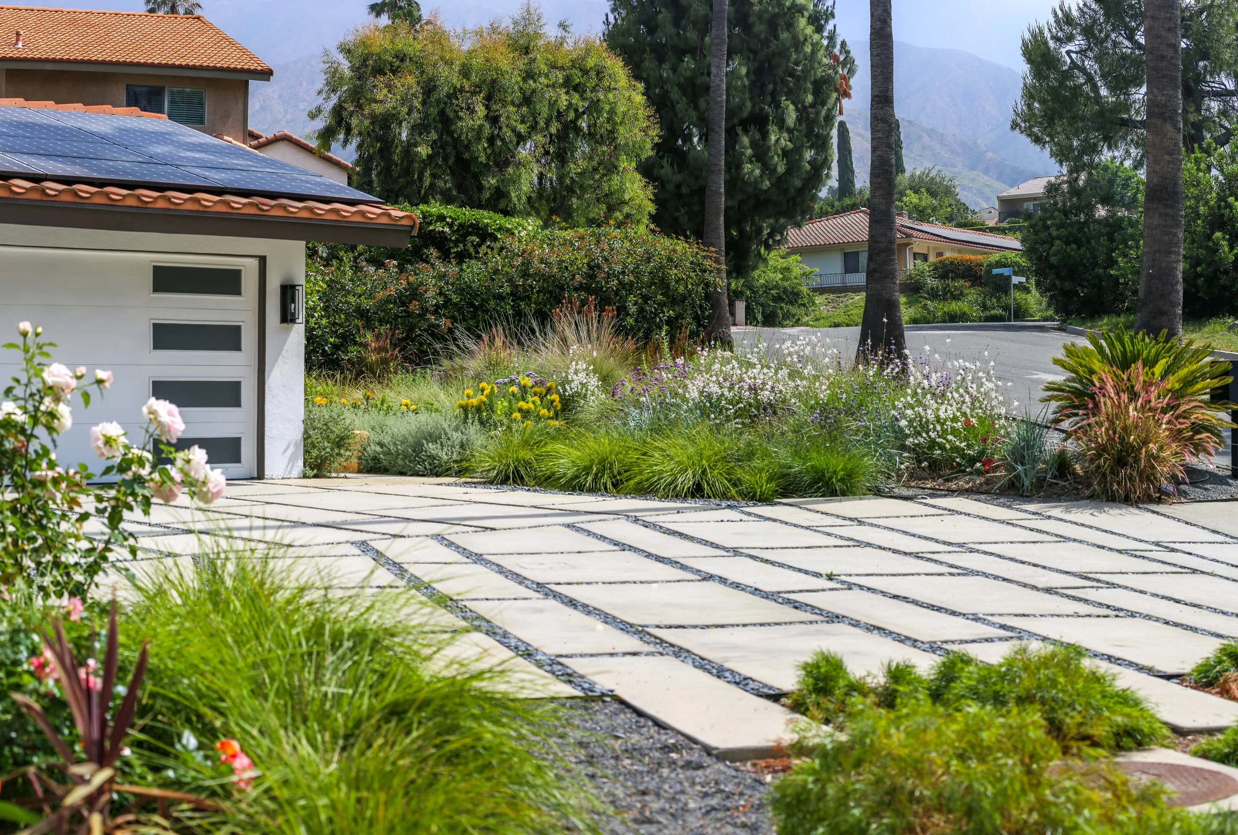 IMG_2379-Pano copy_1.jpg