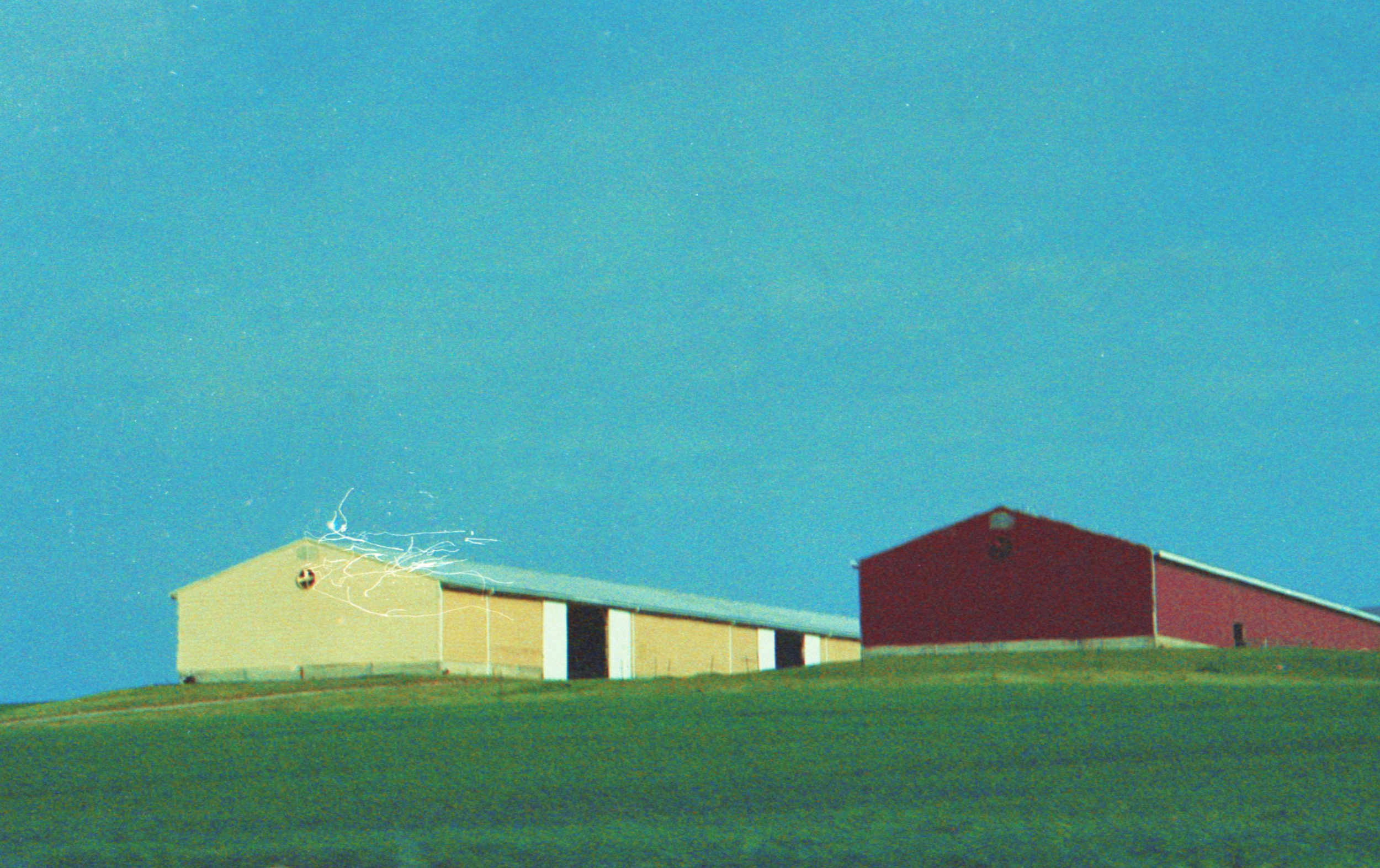 film20210810_0009 copy.png