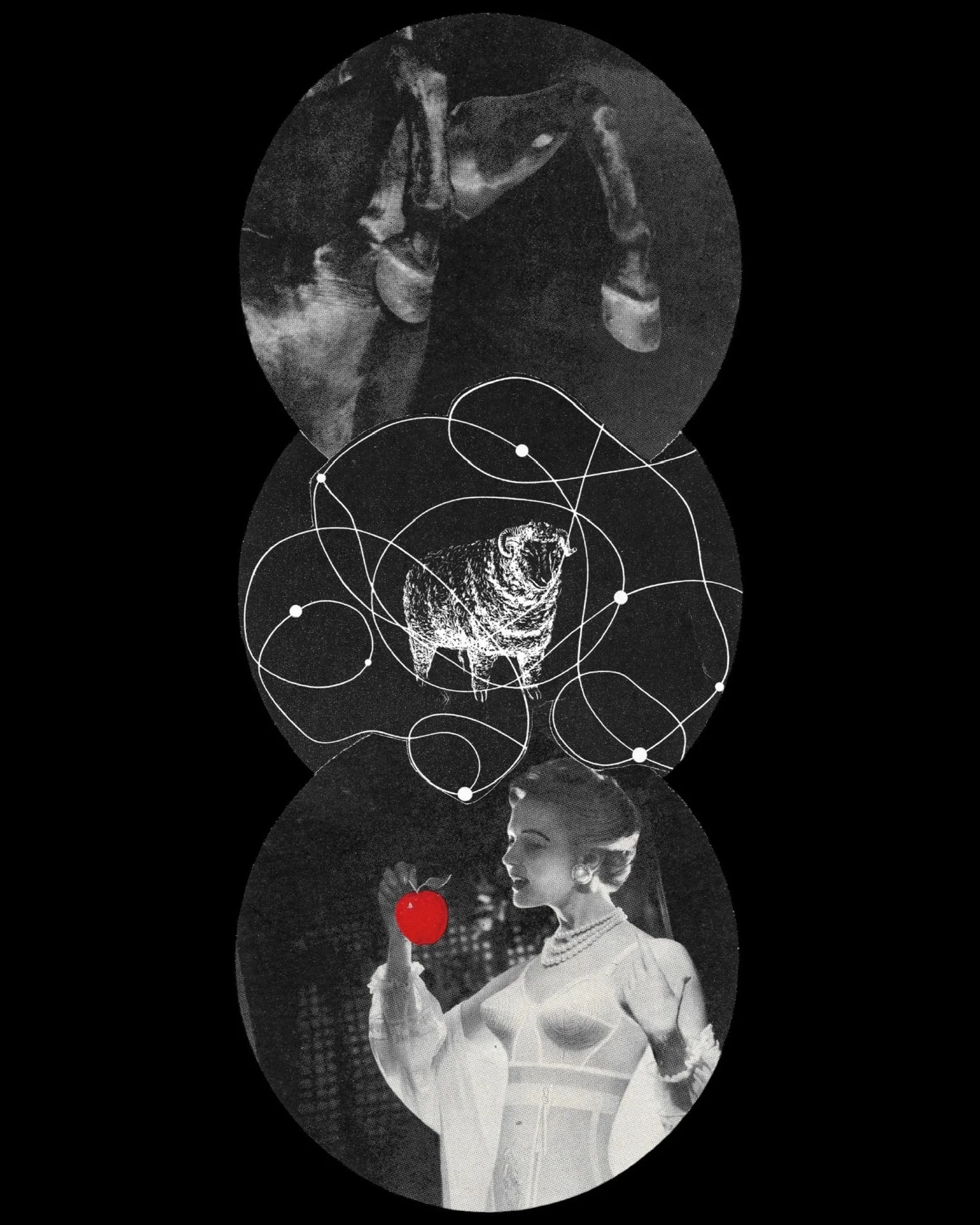 938823F6-1B0E-4566-8392-4792B65A6148_1_102_o copy.jpg