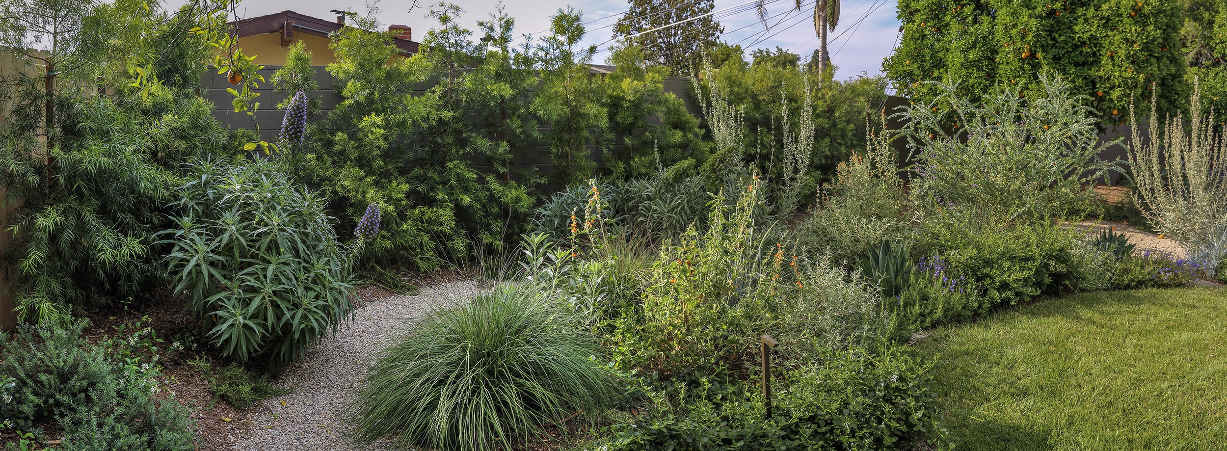 IMG_1675-Pano copy 2.jpg