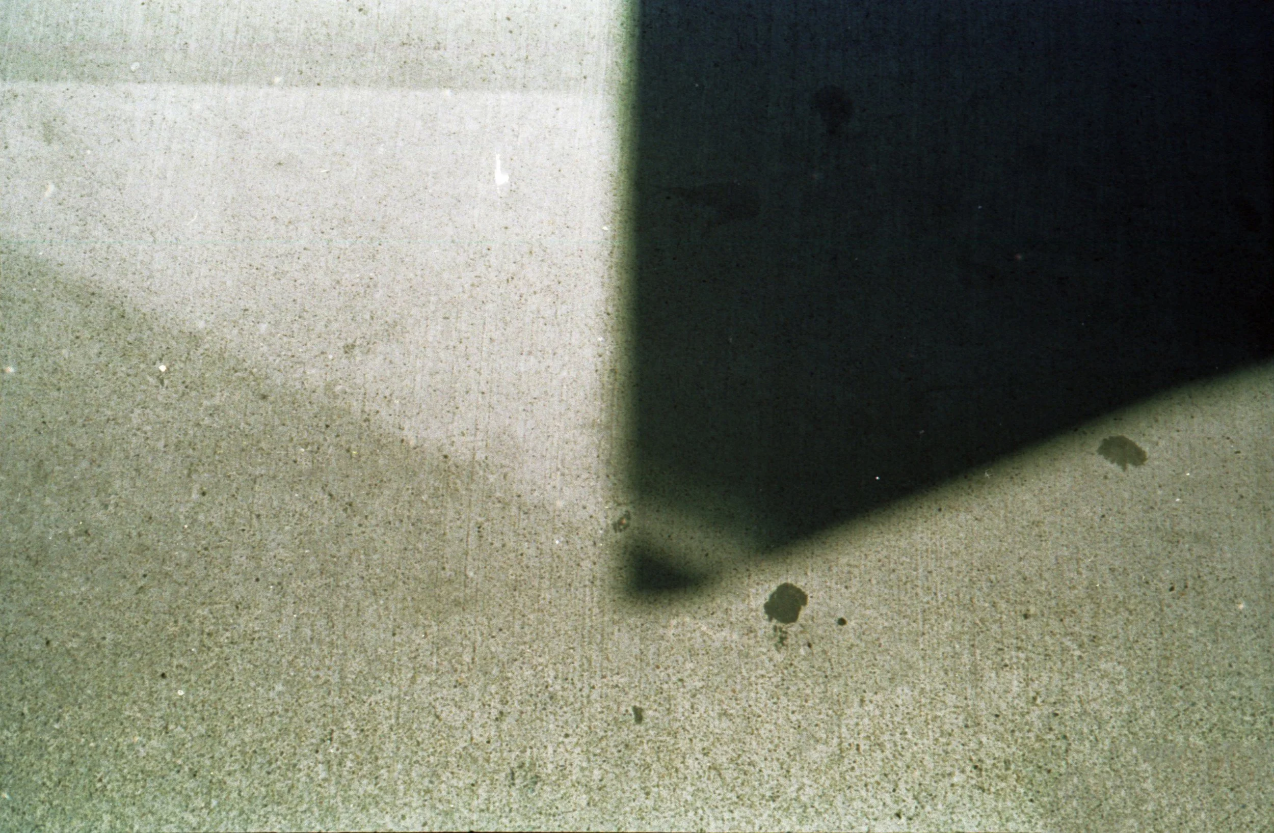 film20210809_0070 copy.jpg