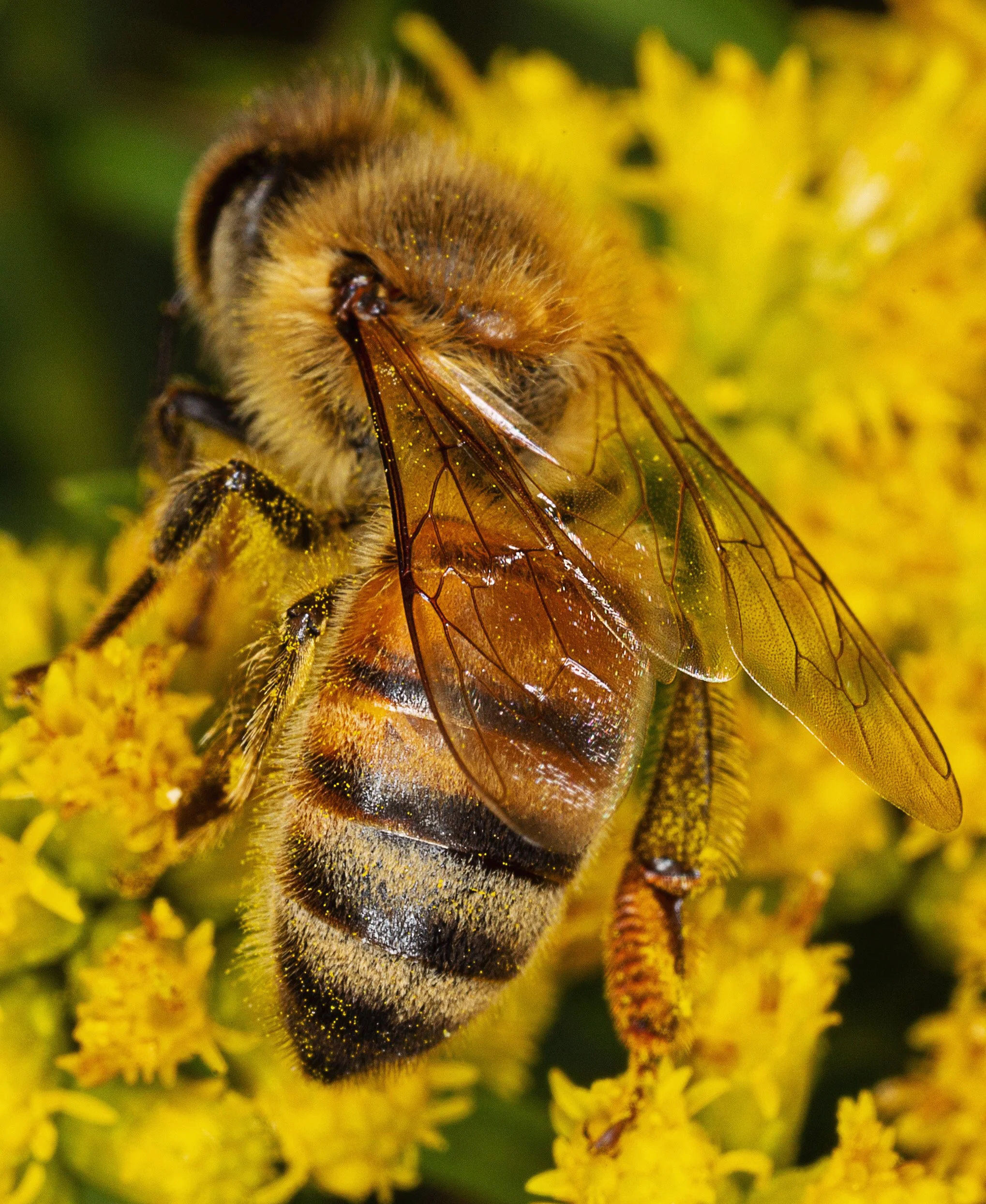 6D94E054-3B45-4AE3-A049-44340D0BD333 copy.JPG