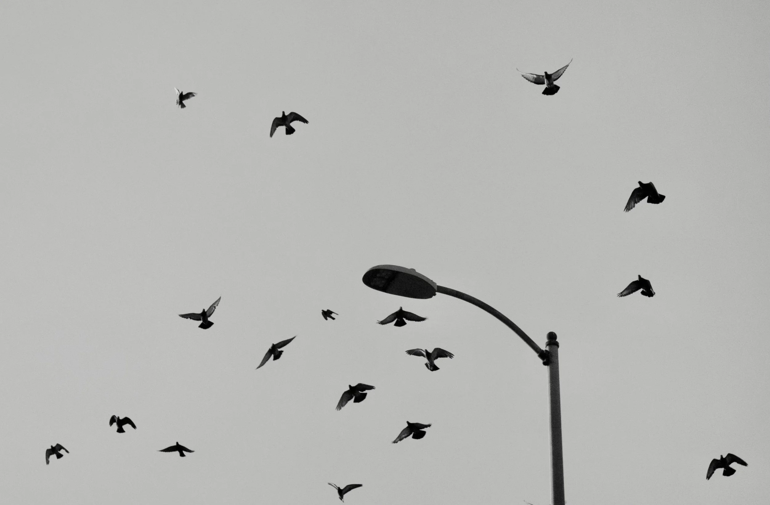 KV016925-Enhanced-NR copy.jpeg