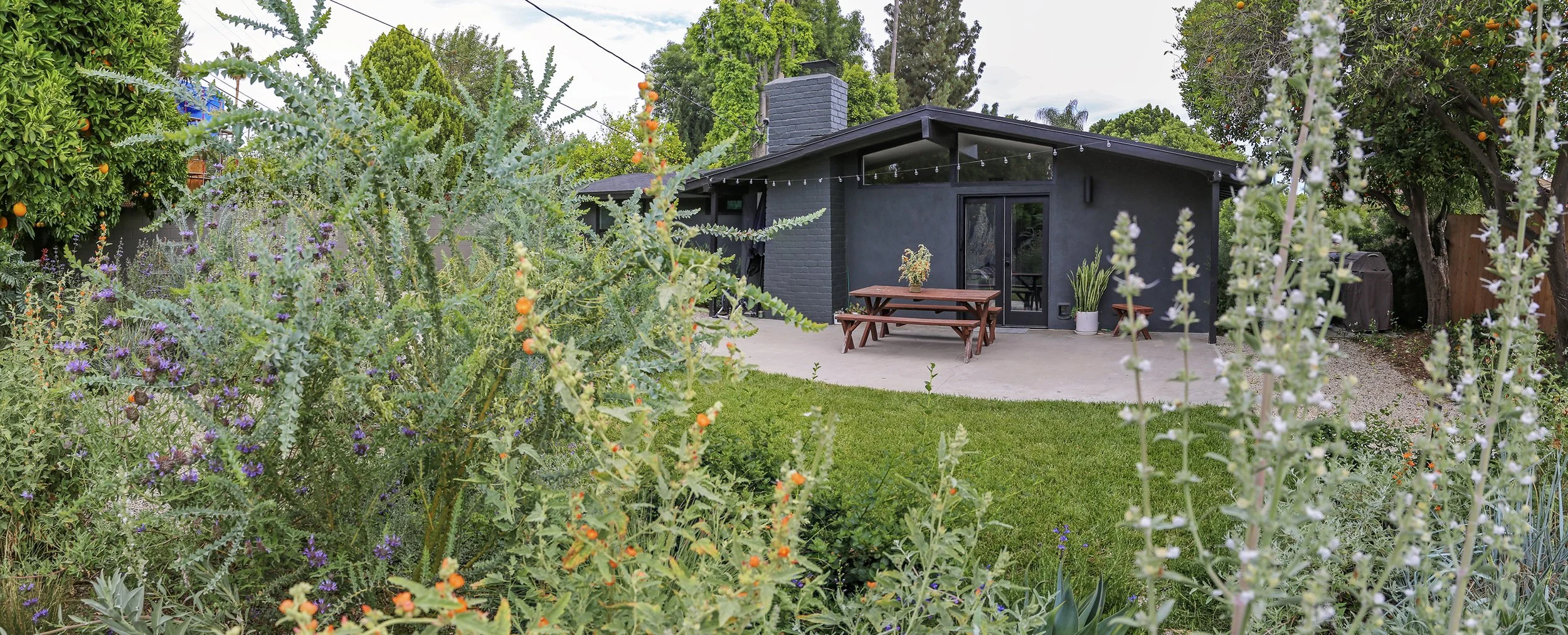 IMG_1318-Pano copy 2.jpg