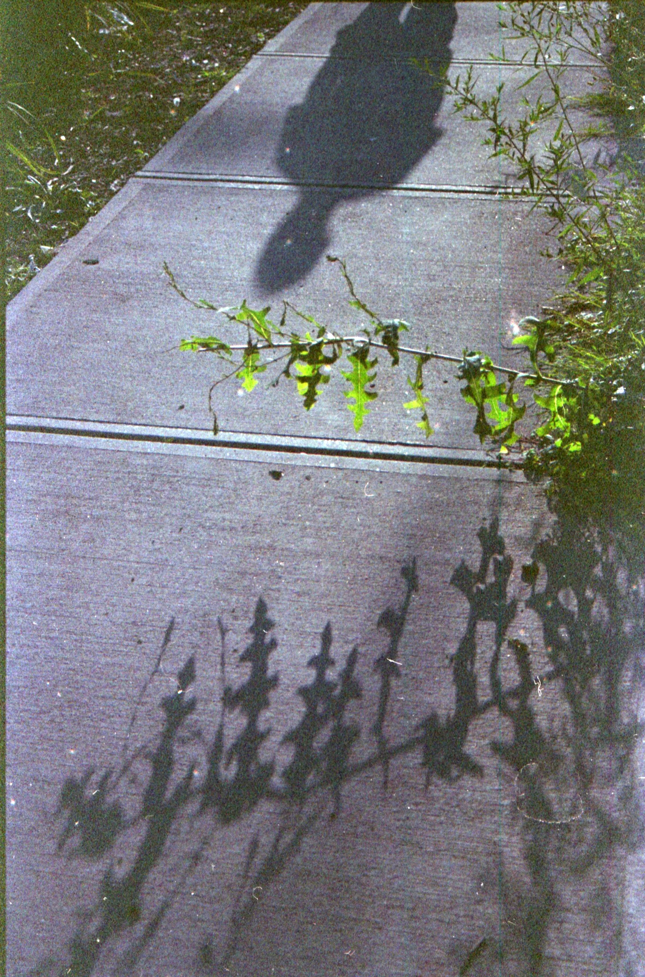 edit0812210085 copy.jpg