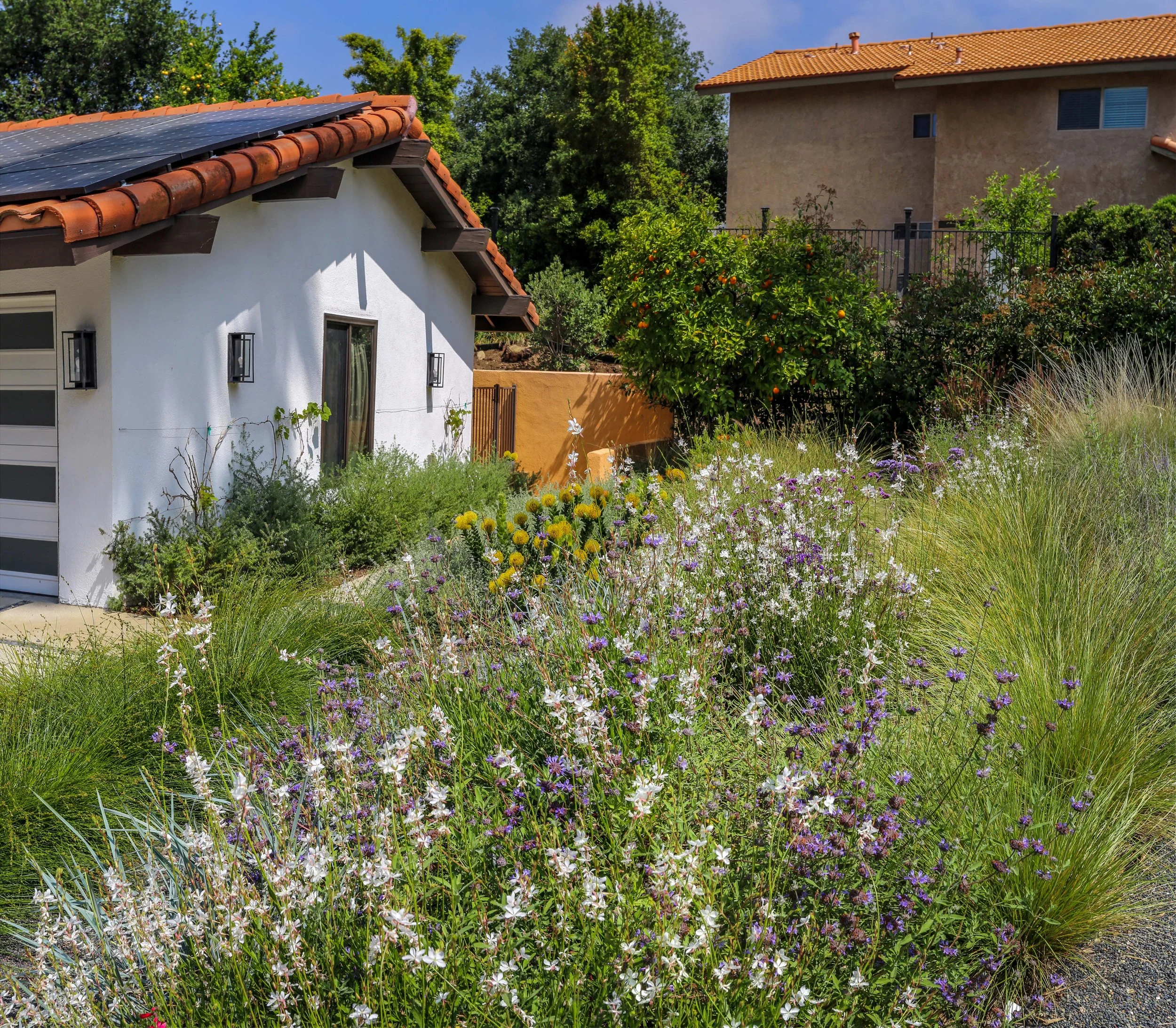 IMG_2699-Pano copy_1.jpg