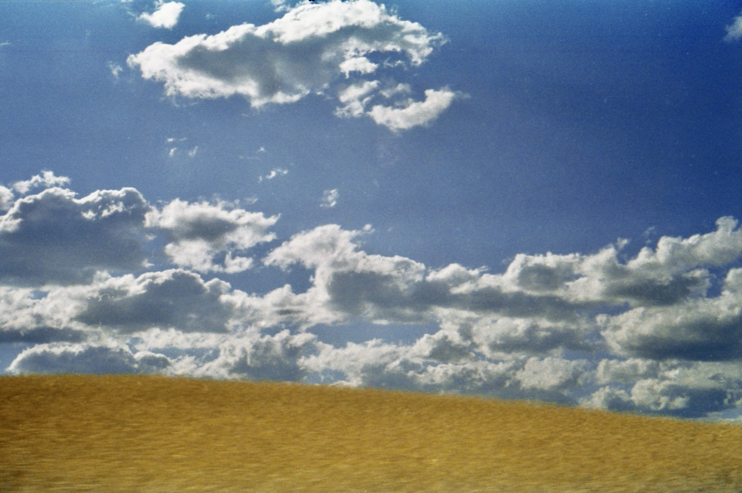 film20210809_0073 copy 2.jpeg