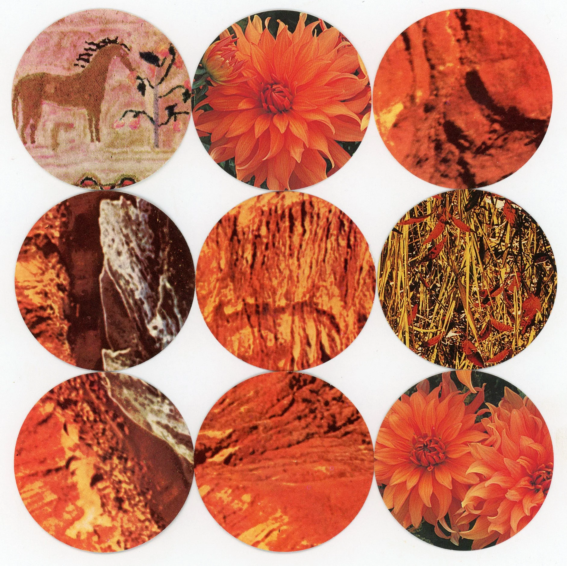 img20210328_22375592 copy.jpg