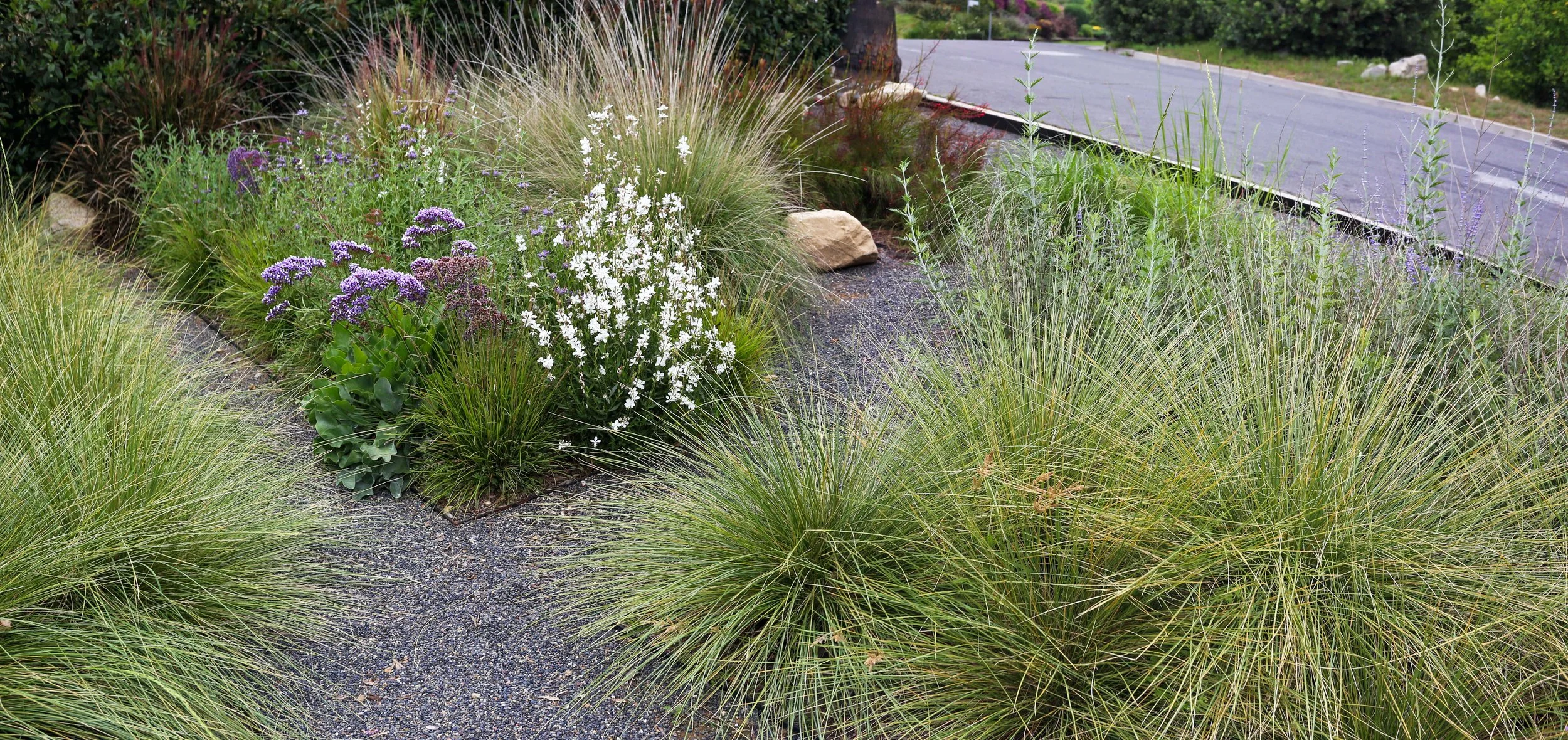 IMG_1977-Pano copy_1.jpg