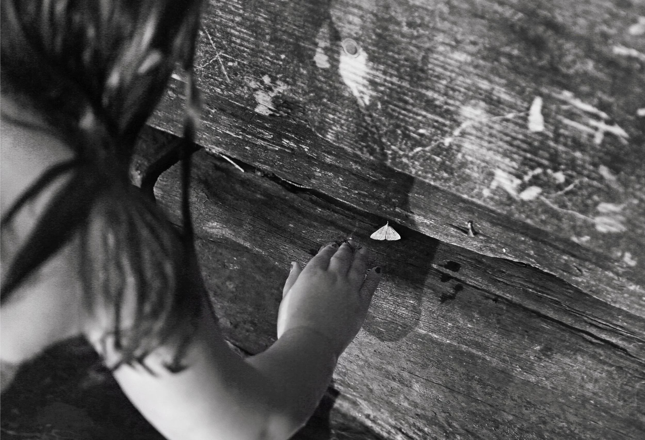 3C9407F9-4791-4D7D-B3E1-1FE07B1ABB6E copy.jpg