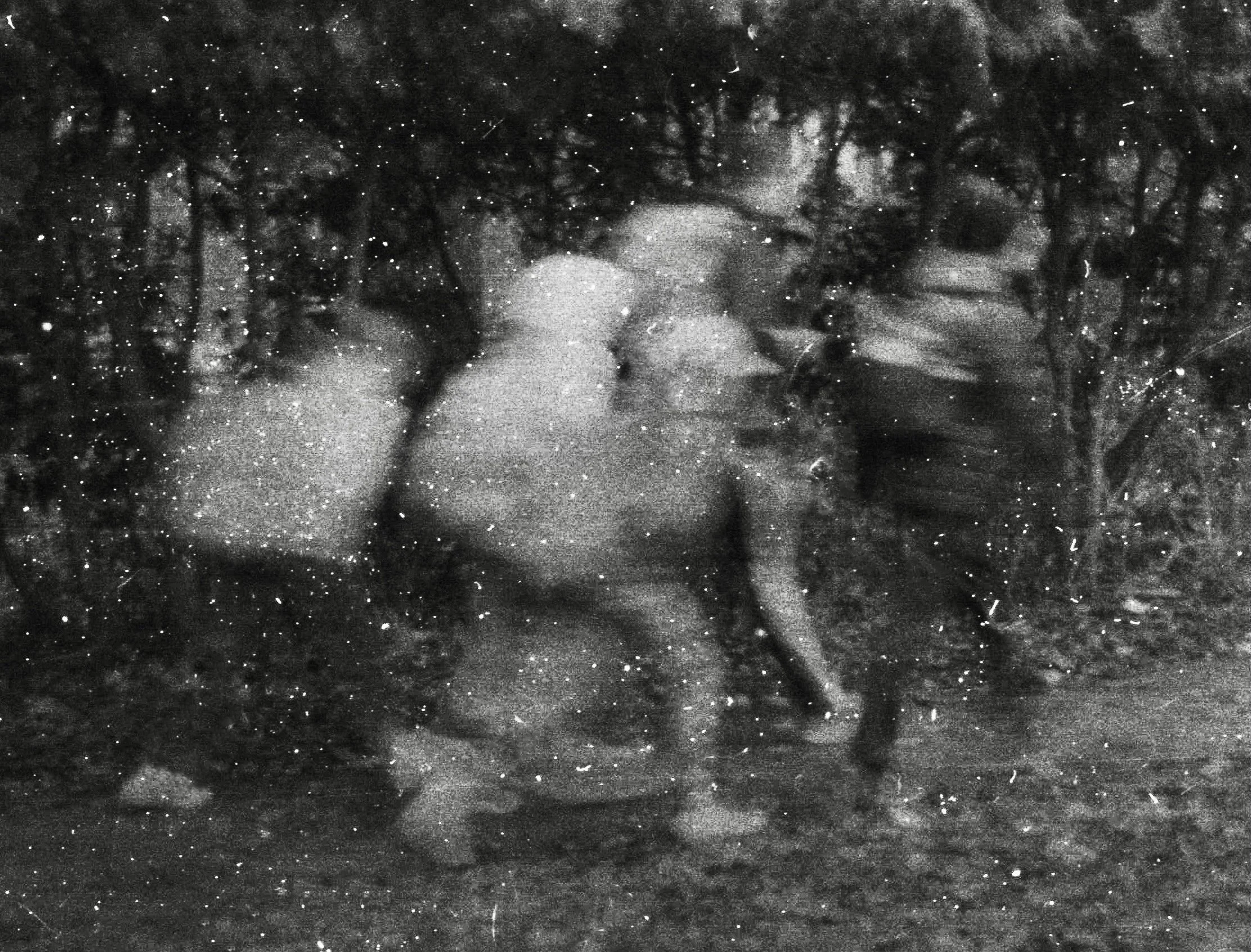 20211117_0022 copy 2.jpg