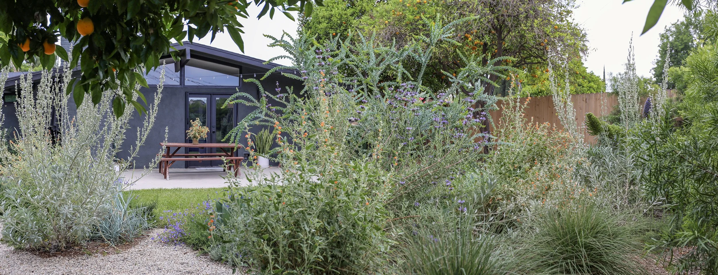 IMG_1300-Pano copy 2.jpg